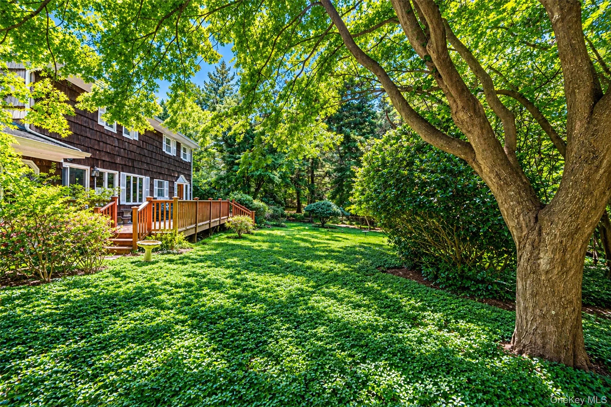 Back Yard Back Yard