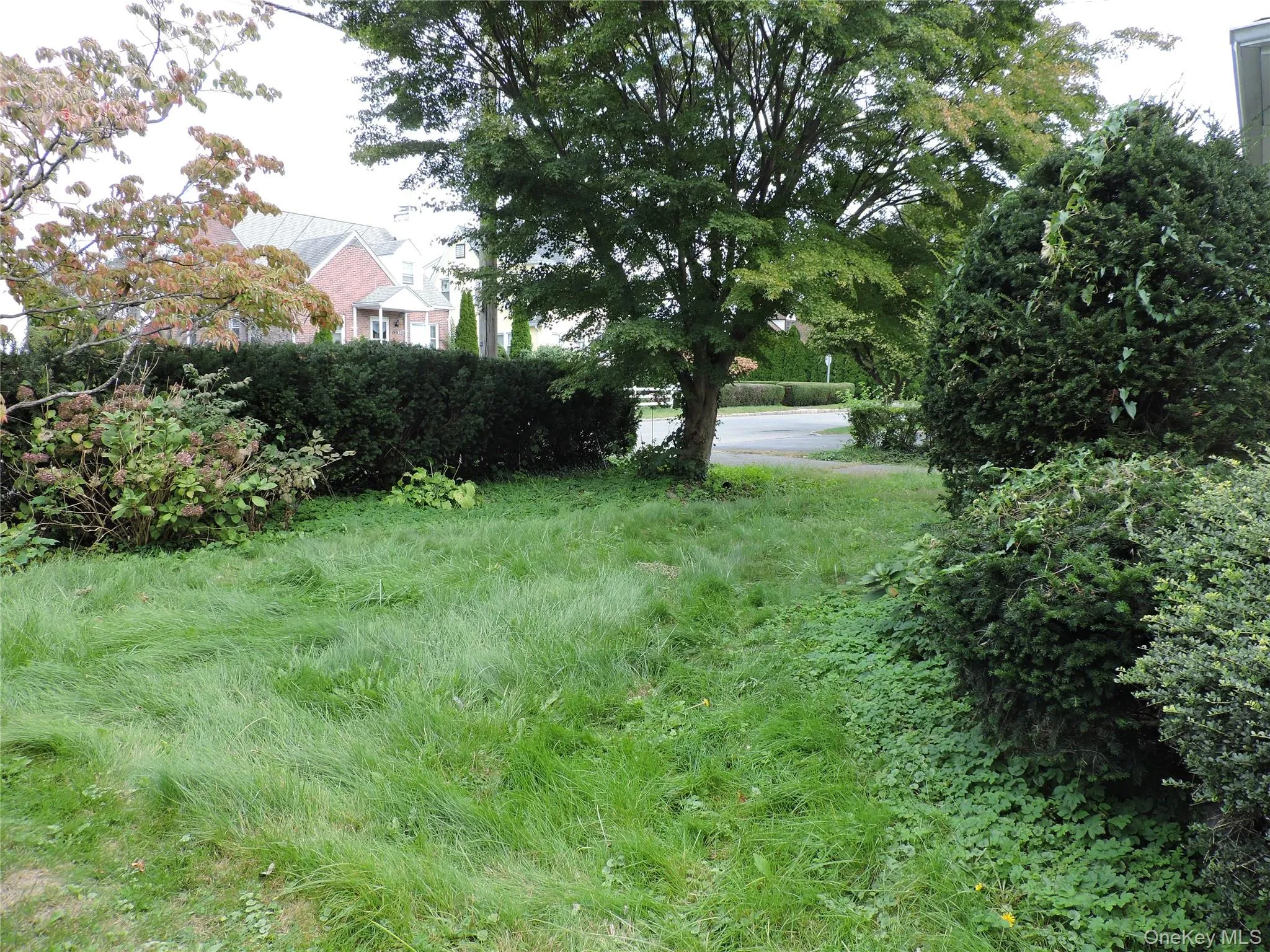 94 Locust Avenue, Eastchester, NY, 3 Bedrooms Bedrooms, 8 Rooms Rooms,1 BathroomBathrooms,Residential,For Rent,Locust,0,1057273 94 Locust Avenue, Eastchester, NY, 3 Bedrooms Bedrooms, 8 Rooms Rooms,1 BathroomBathrooms,Residential,For Rent,Locust,0,1057273