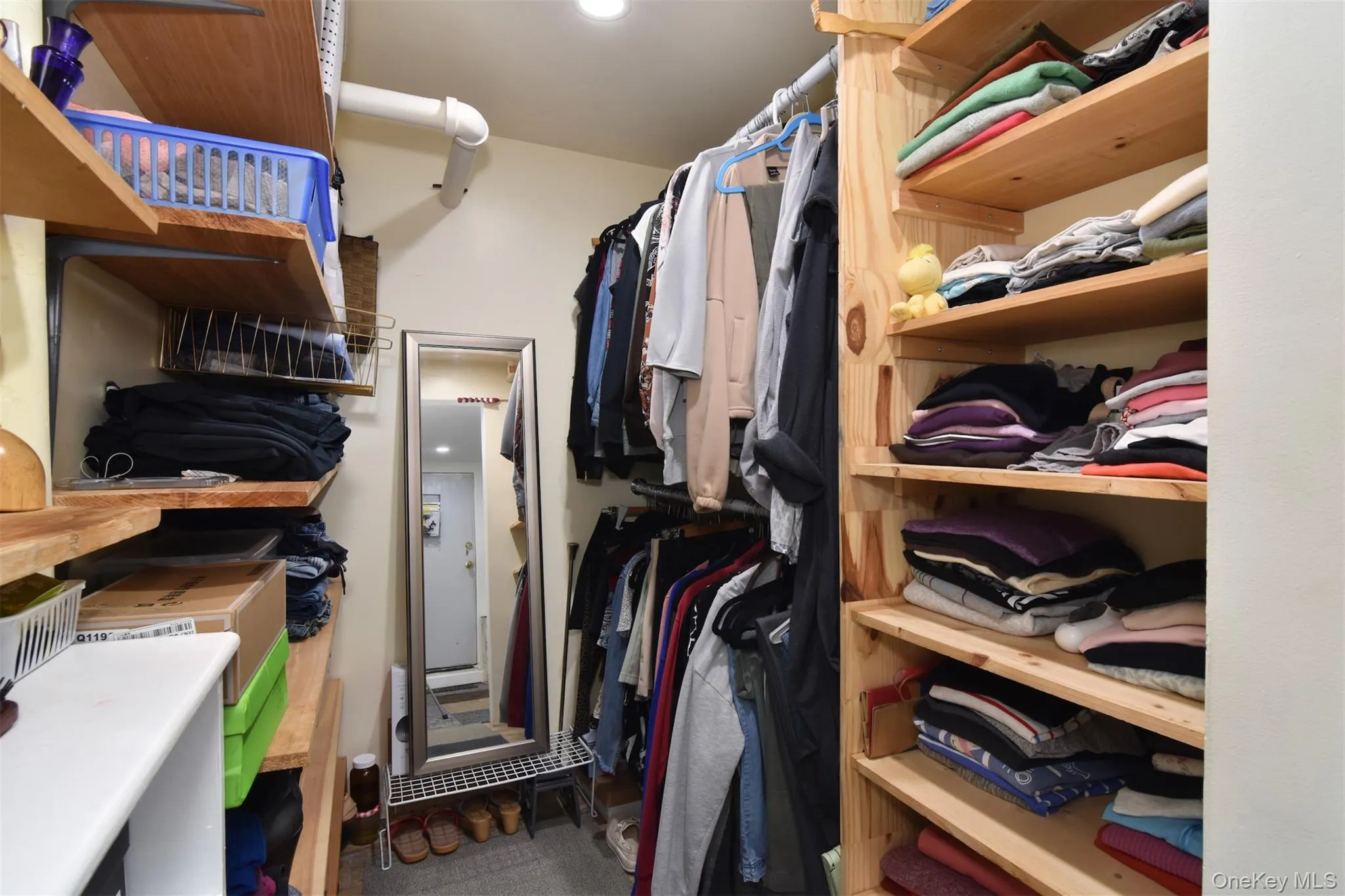 Basement walk in closet Basement walk in closet