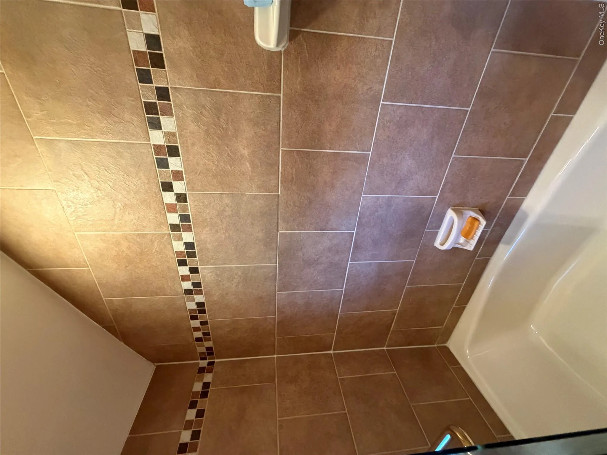 Generous 2nd tub with shower and glass enclosure Generous 2nd tub with shower and glass enclosure