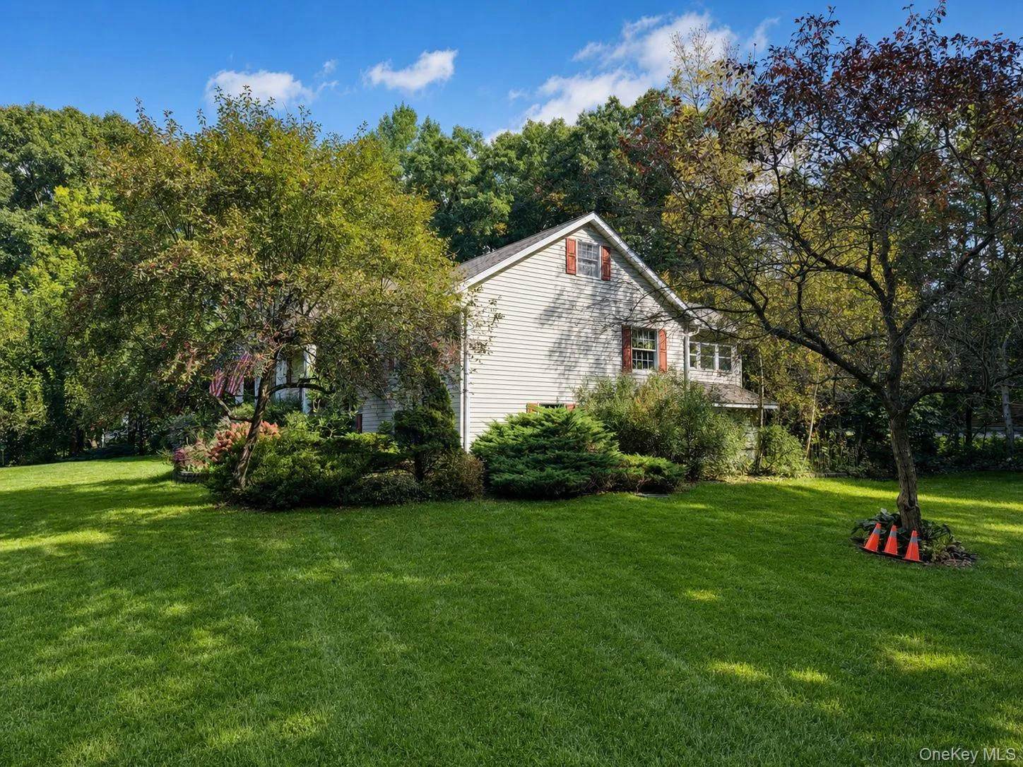 Side yard with mature landscaping and trees Side yard with mature landscaping and trees