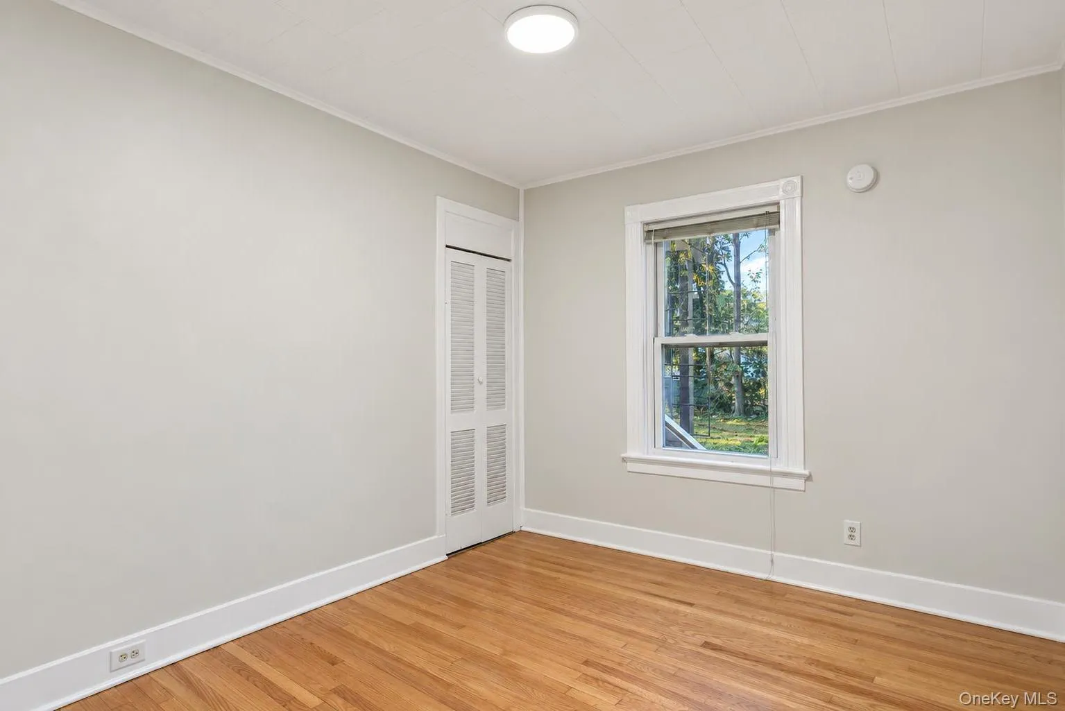 54 Ogden Street, Middletown, NY, 3 Bedrooms Bedrooms, 5 Rooms Rooms,1 BathroomBathrooms,Residential Lease,For Rent,Ogden,0,1057453 54 Ogden Street, Middletown, NY, 3 Bedrooms Bedrooms, 5 Rooms Rooms,1 BathroomBathrooms,Residential Lease,For Rent,Ogden,0,1057453