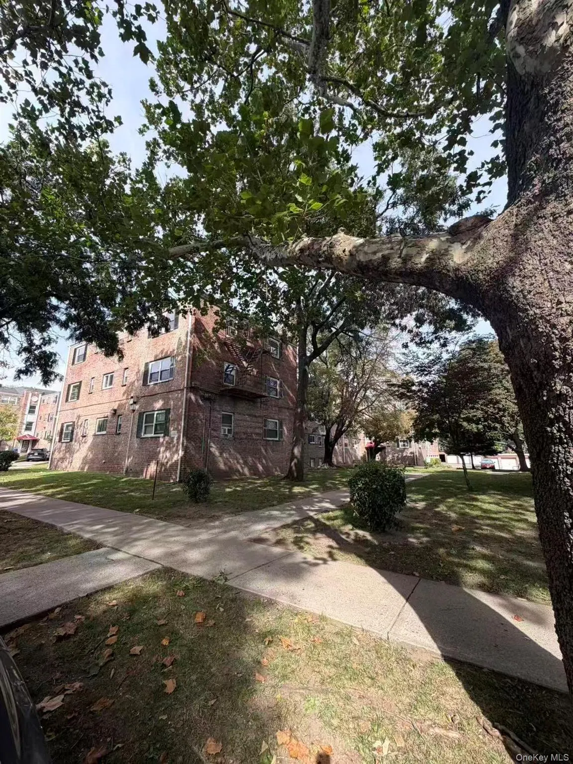 111-15 66th Avenue, New York, NY, 2 Bedrooms Bedrooms, 5 Rooms Rooms,1 BathroomBathrooms,Residential,For Rent,66th,0,1057472 111-15 66th Avenue, New York, NY, 2 Bedrooms Bedrooms, 5 Rooms Rooms,1 BathroomBathrooms,Residential,For Rent,66th,0,1057472