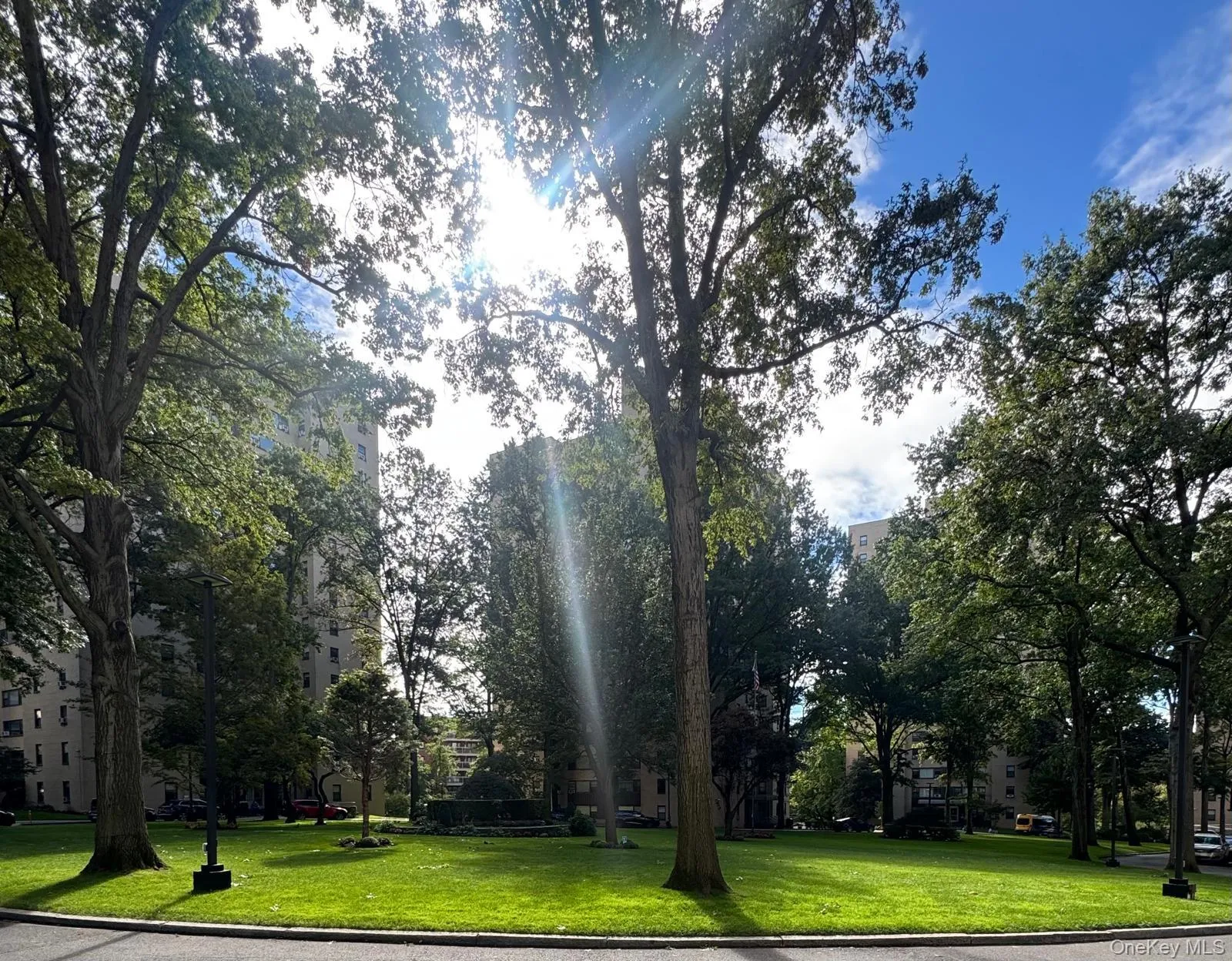 4 Fordham Hill Oval, New York, NY, 1 Bedroom Bedrooms, 4 Rooms Rooms,1 BathroomBathrooms,Residential,For Rent,Fordham Hill,0,1057500 4 Fordham Hill Oval, New York, NY, 1 Bedroom Bedrooms, 4 Rooms Rooms,1 BathroomBathrooms,Residential,For Rent,Fordham Hill,0,1057500