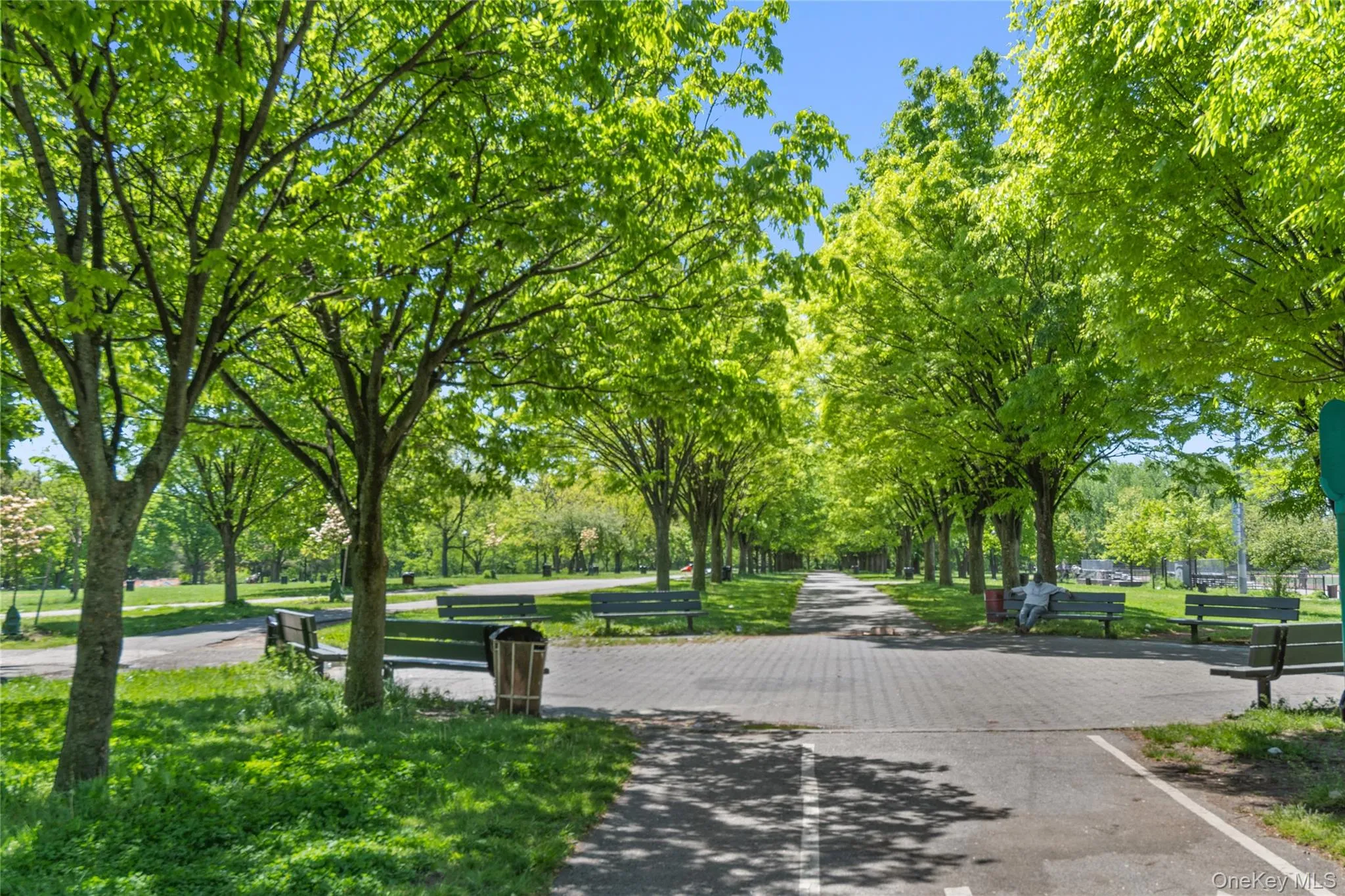 Paved walkway bordered by mature trees and manicured lawns Paved walkway bordered by mature trees and manicured lawns
