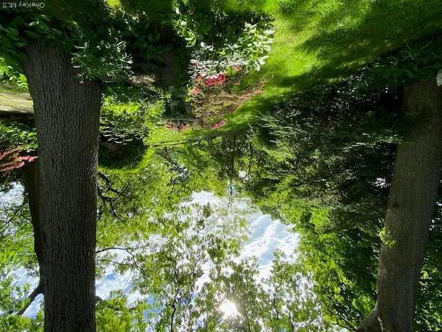 24 (aka 28) Ritchie Drive, Yonkers, NY, 3 Bedrooms Bedrooms, 7 Rooms Rooms,2 BathroomsBathrooms,Residential,For Rent,Ritchie,0,1057572 24 (aka 28) Ritchie Drive, Yonkers, NY, 3 Bedrooms Bedrooms, 7 Rooms Rooms,2 BathroomsBathrooms,Residential,For Rent,Ritchie,0,1057572