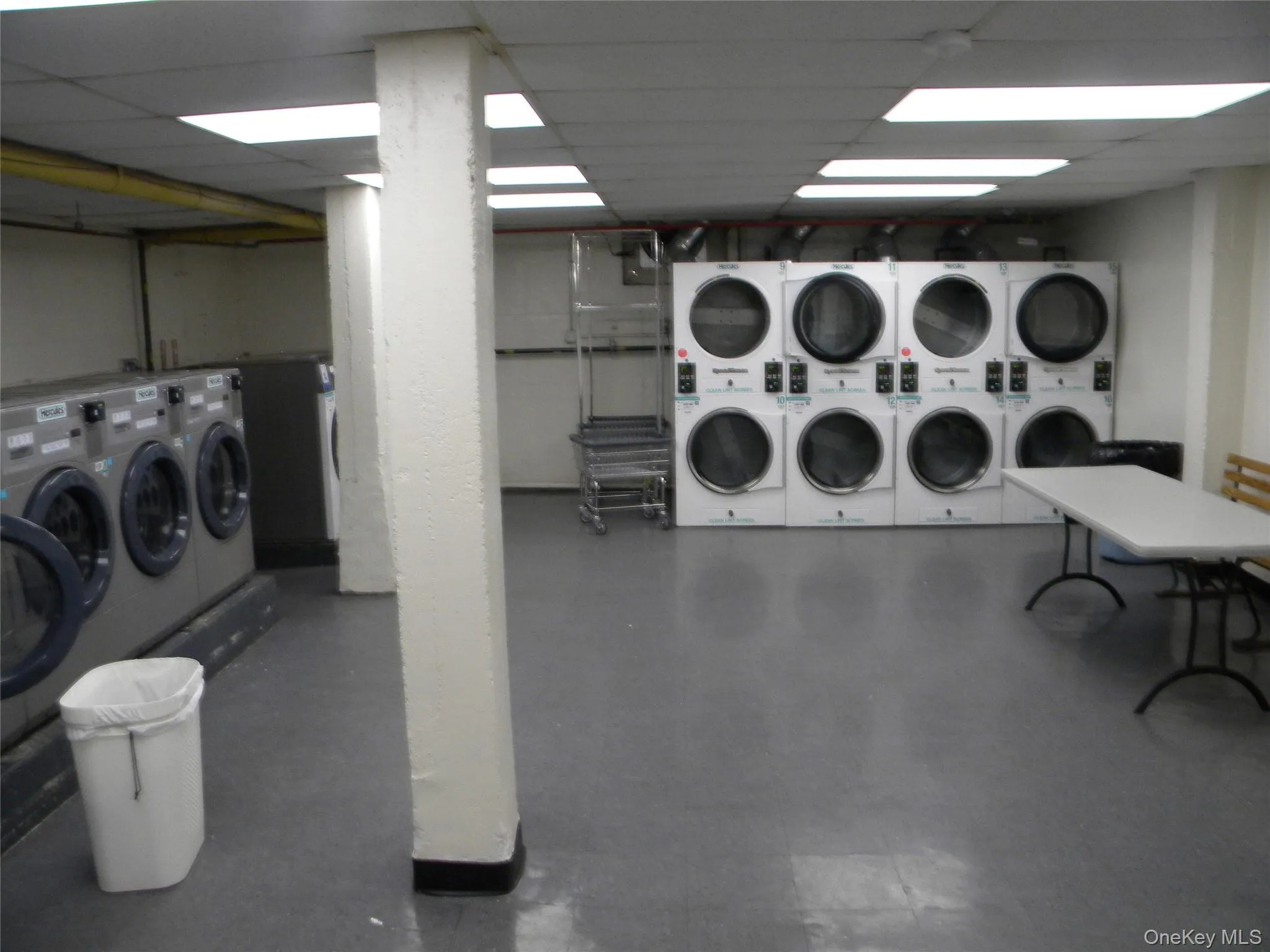42-25 80th Street, New York, NY, 1 Bedroom Bedrooms, 2 Rooms Rooms,1 BathroomBathrooms,Residential,For Rent,80th,0,1057579 42-25 80th Street, New York, NY, 1 Bedroom Bedrooms, 2 Rooms Rooms,1 BathroomBathrooms,Residential,For Rent,80th,0,1057579