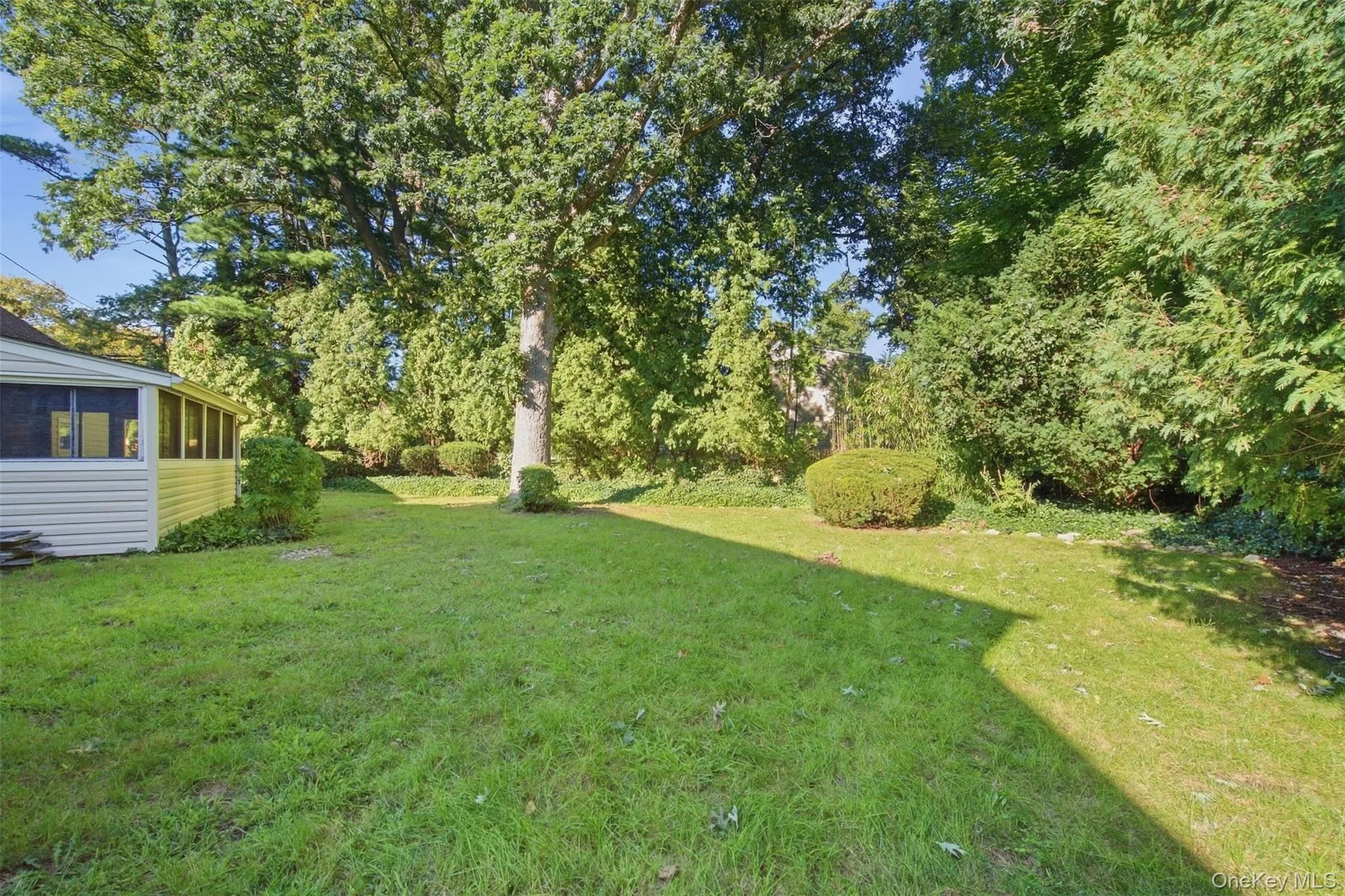 316 Lenox Road, Huntington, NY, 3 Bedrooms Bedrooms, 5 Rooms Rooms,2 BathroomsBathrooms,Residential,For Rent,Lenox,0,1057631 316 Lenox Road, Huntington, NY, 3 Bedrooms Bedrooms, 5 Rooms Rooms,2 BathroomsBathrooms,Residential,For Rent,Lenox,0,1057631
