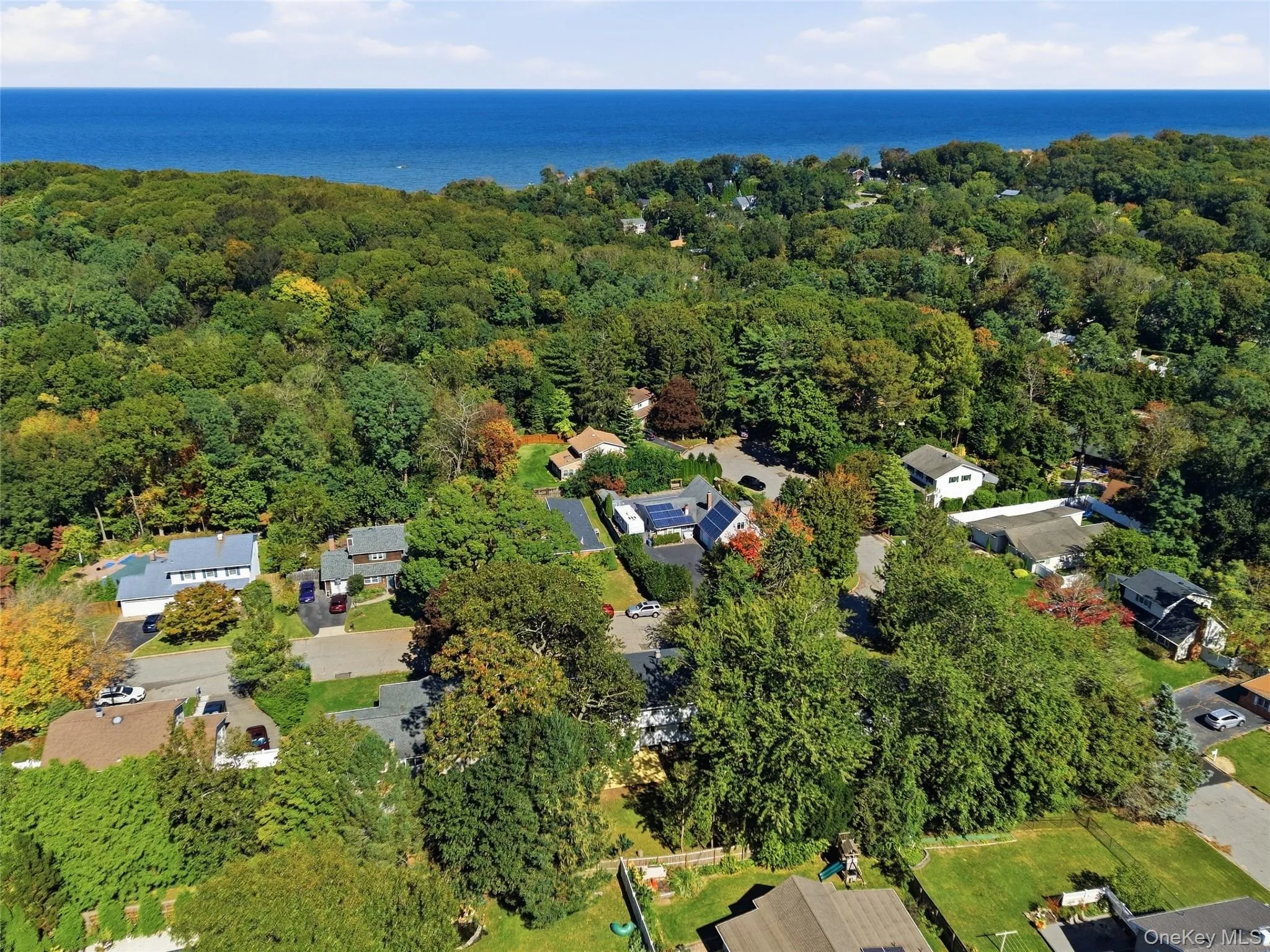 Expansive wooded landscape with residential properties and a visible body of water Expansive wooded landscape with residential properties and a visible body of water