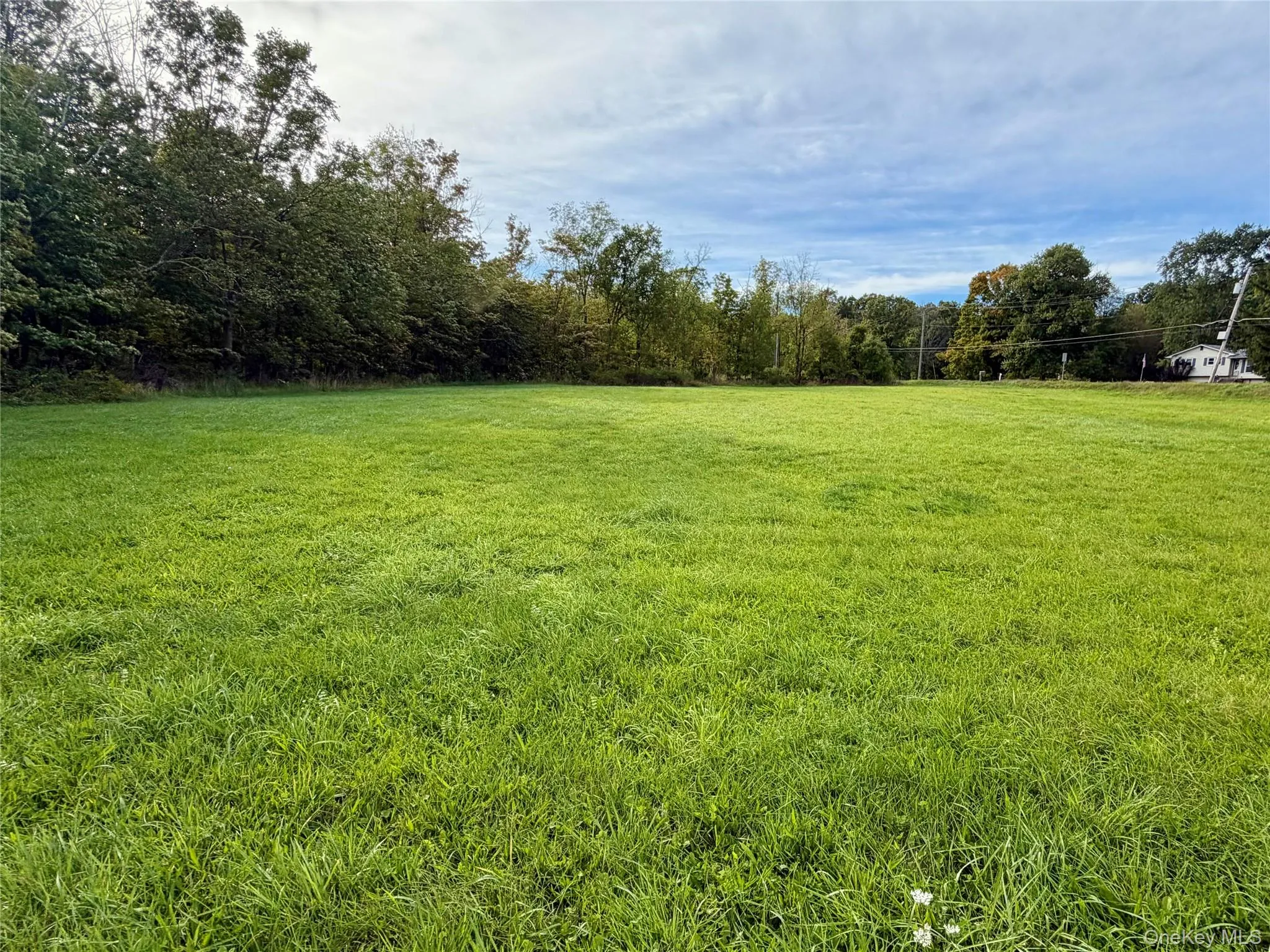 Adjacent property is conservation easement Adjacent property is conservation easement