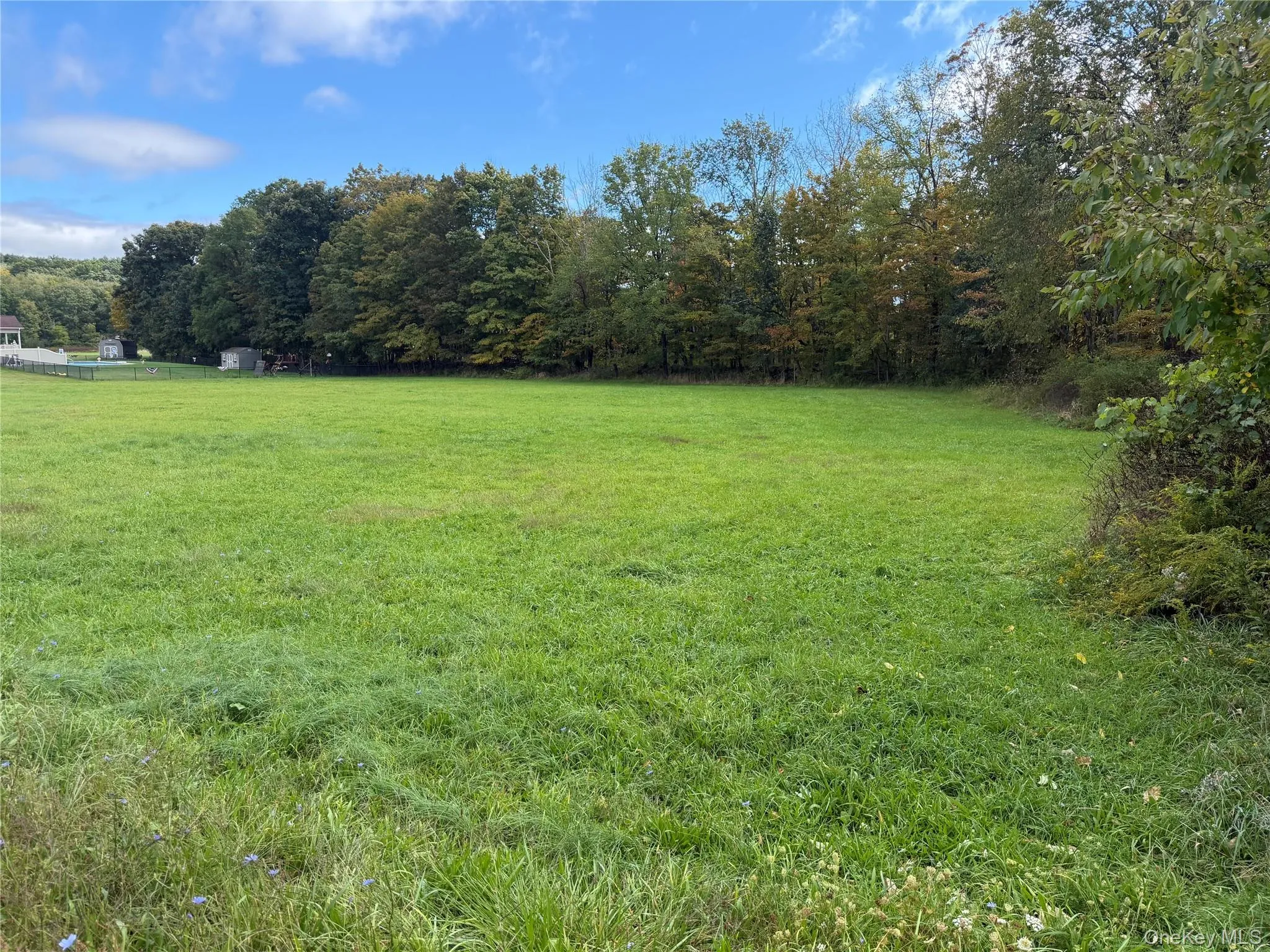 Wooded lot line Wooded lot line