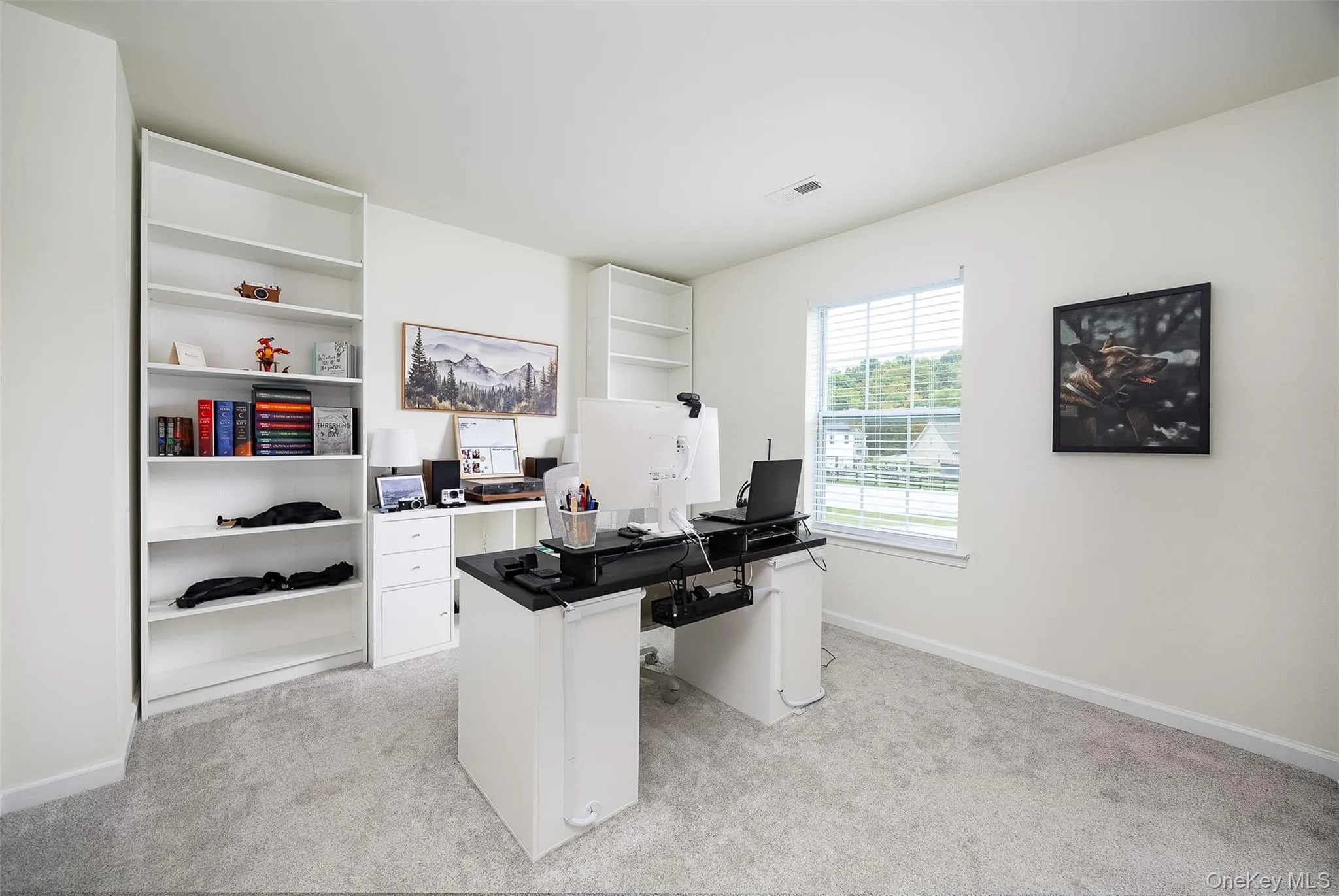 Built-in shelving units, white painted walls, window with blinds, light gray carpet flooring Built-in shelving units, white painted walls, window with blinds, light gray carpet flooring