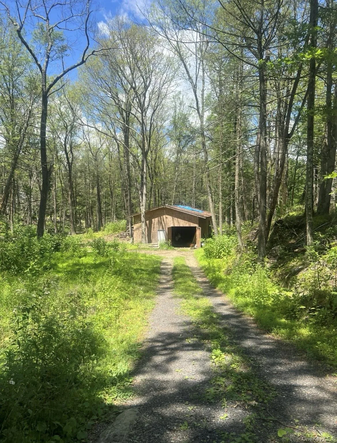 107 Pine Hill Road, Pleasant Valley, NY, 3 Bedrooms Bedrooms, 8 Rooms Rooms,1 BathroomBathrooms,Residential,For Rent,Pine Hill,0,1057792 107 Pine Hill Road, Pleasant Valley, NY, 3 Bedrooms Bedrooms, 8 Rooms Rooms,1 BathroomBathrooms,Residential,For Rent,Pine Hill,0,1057792