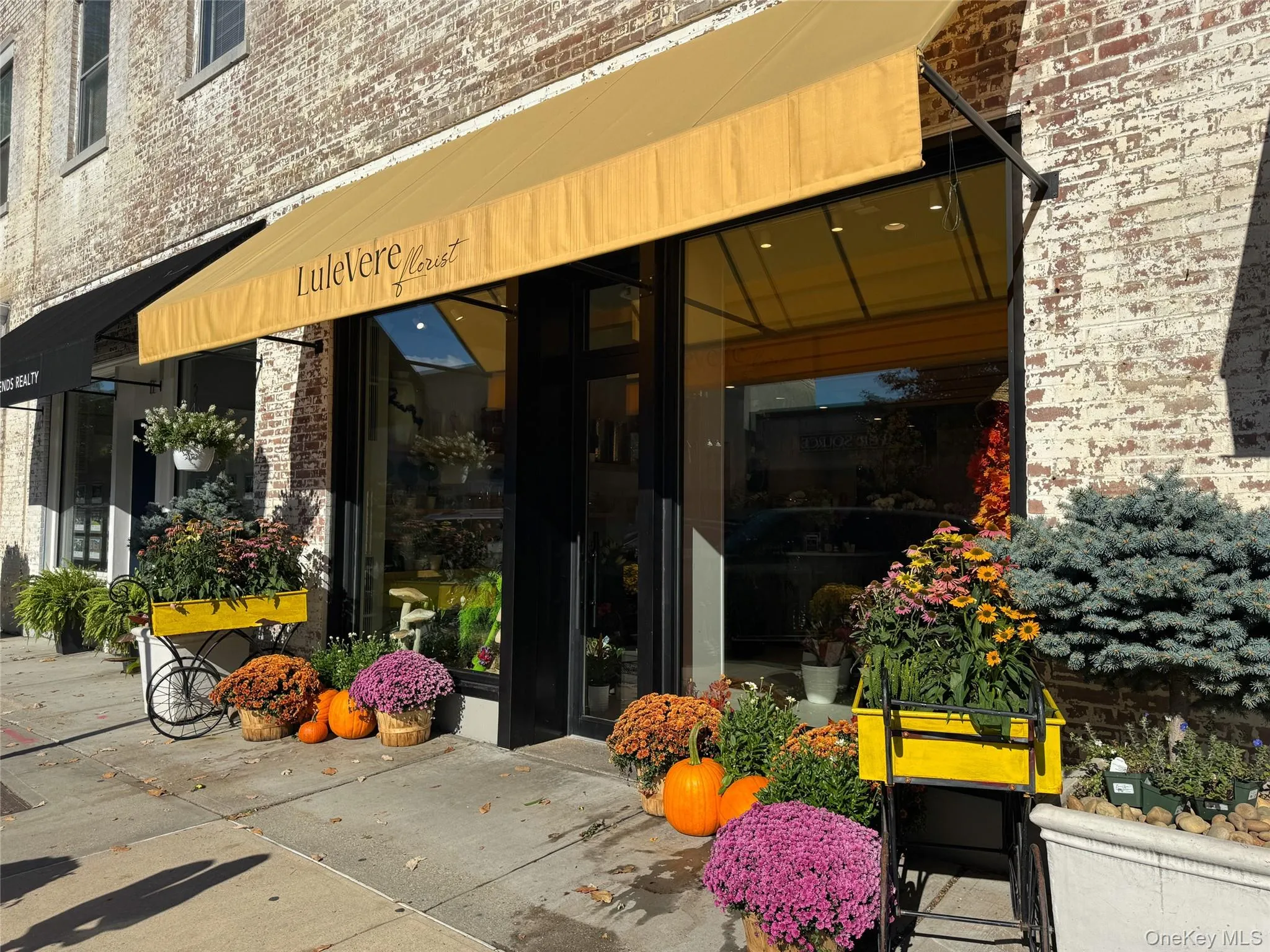 2 Bronxville Road, Yonkers, NY, 1 Bedroom Bedrooms, 4 Rooms Rooms,1 BathroomBathrooms,Residential,For Rent,Bronxville,0,1057796 2 Bronxville Road, Yonkers, NY, 1 Bedroom Bedrooms, 4 Rooms Rooms,1 BathroomBathrooms,Residential,For Rent,Bronxville,0,1057796