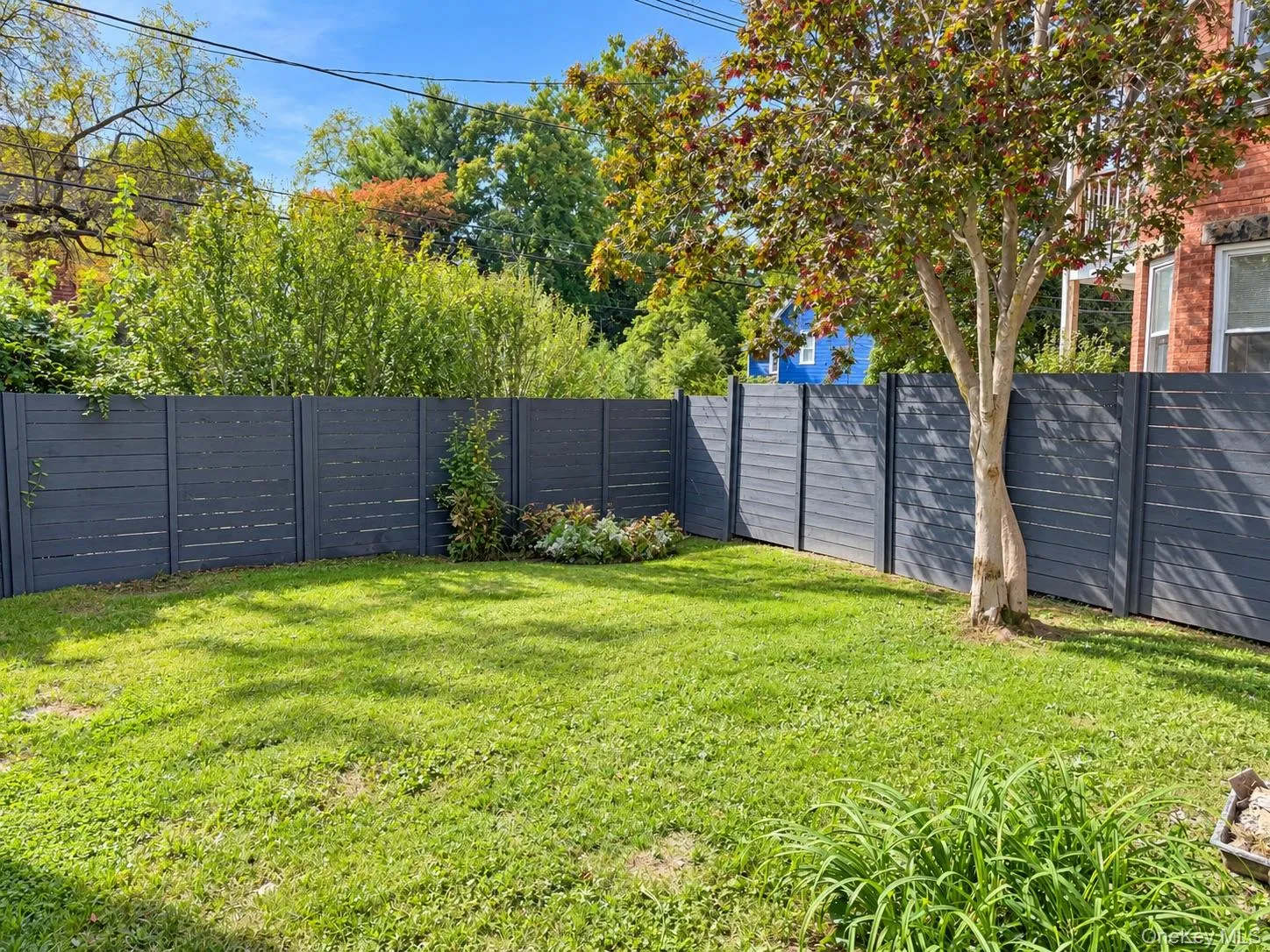 117 Hamilton Street, Poughkeepsie, NY, 3 Bedrooms Bedrooms, 5 Rooms Rooms,1 BathroomBathrooms,Residential Lease,For Rent,Hamilton,0,1057840 117 Hamilton Street, Poughkeepsie, NY, 3 Bedrooms Bedrooms, 5 Rooms Rooms,1 BathroomBathrooms,Residential Lease,For Rent,Hamilton,0,1057840