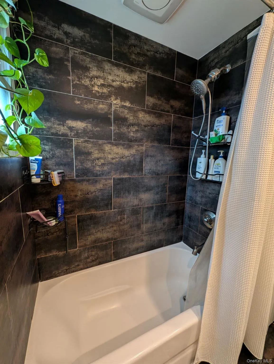 20 Sylvester Place, Hempstead, NY, 2 Bedroom Bedrooms, 5 Room Rooms,1 BathroomBathrooms,Residential Lease,For Rent,Sylvester,0,1057909 20 Sylvester Place, Hempstead, NY, 2 Bedroom Bedrooms, 5 Room Rooms,1 BathroomBathrooms,Residential Lease,For Rent,Sylvester,0,1057909