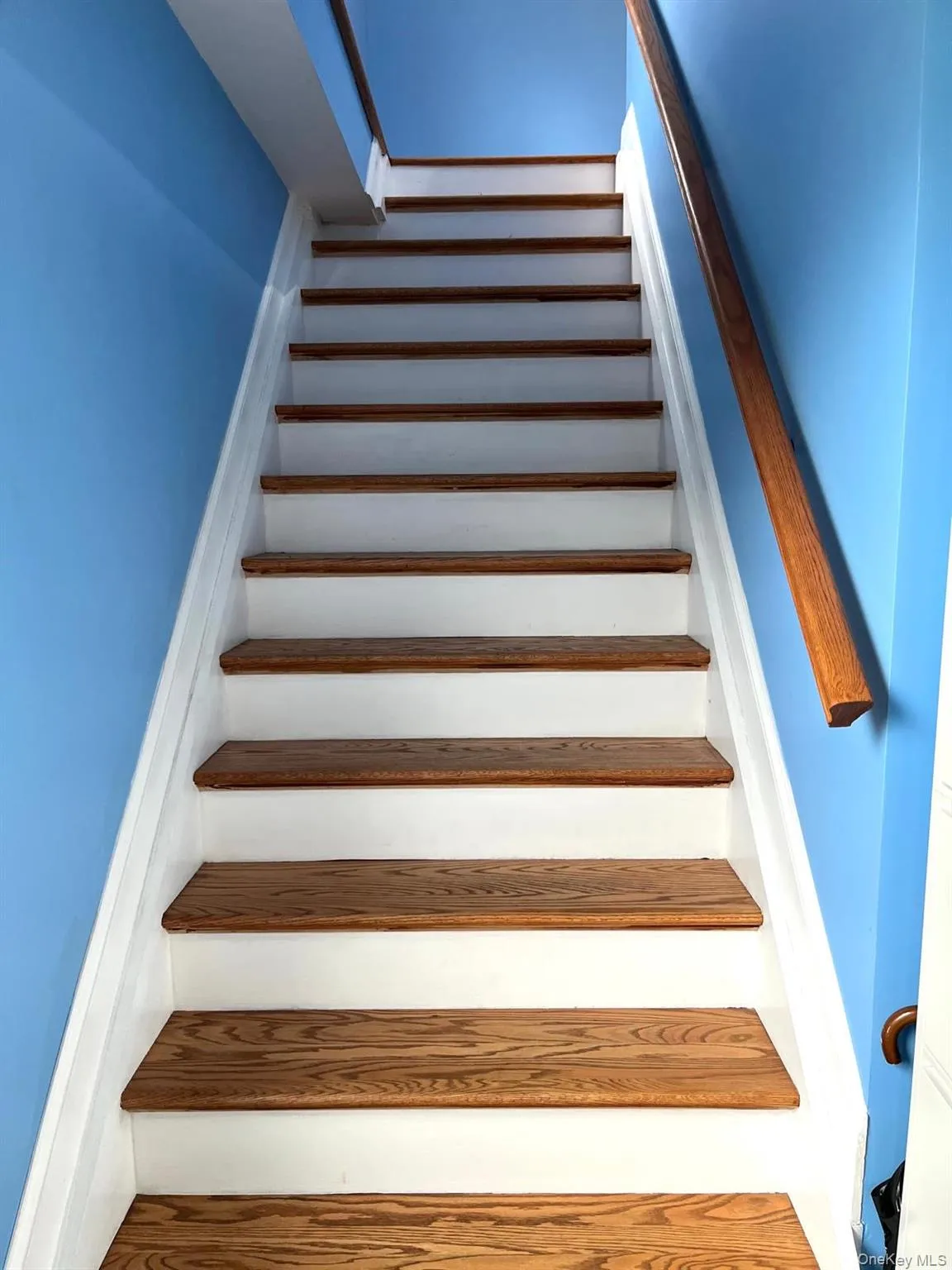 165-19 Chapin Court, New York, NY, 9 Bedrooms Bedrooms, 17 Rooms Rooms,4 BathroomsBathrooms,Residential,For Rent,Chapin Court,0,1057953 165-19 Chapin Court, New York, NY, 9 Bedrooms Bedrooms, 17 Rooms Rooms,4 BathroomsBathrooms,Residential,For Rent,Chapin Court,0,1057953
