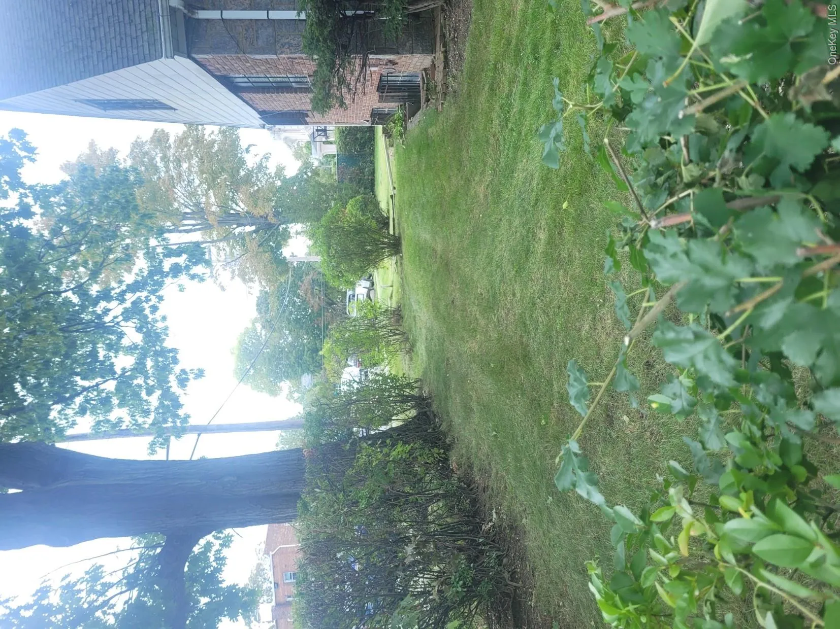 Expansive green lawn with mature trees and established hedges Expansive green lawn with mature trees and established hedges