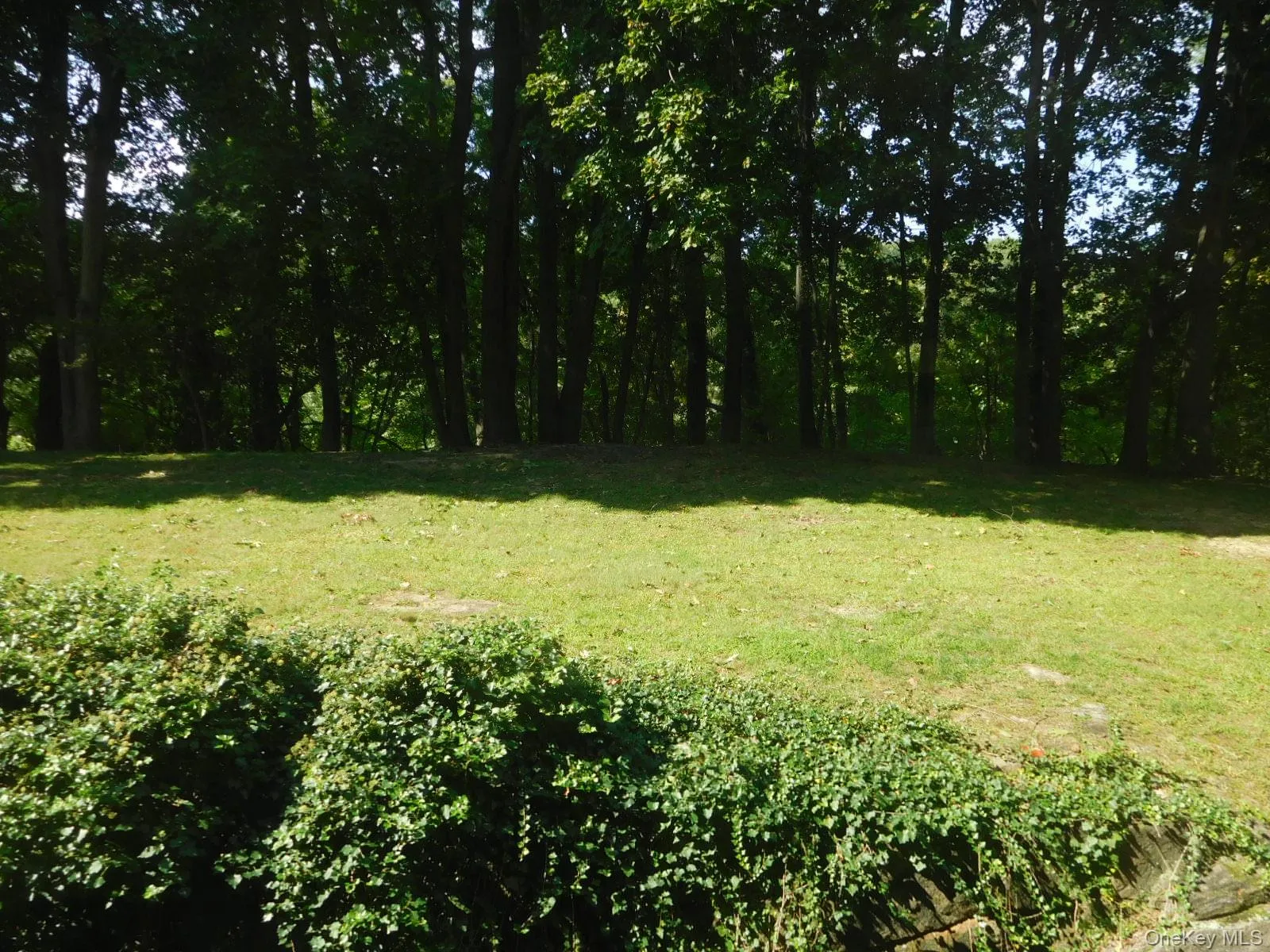 Beautiful view from all rooms in unit!! Beautiful view from all rooms in unit!!