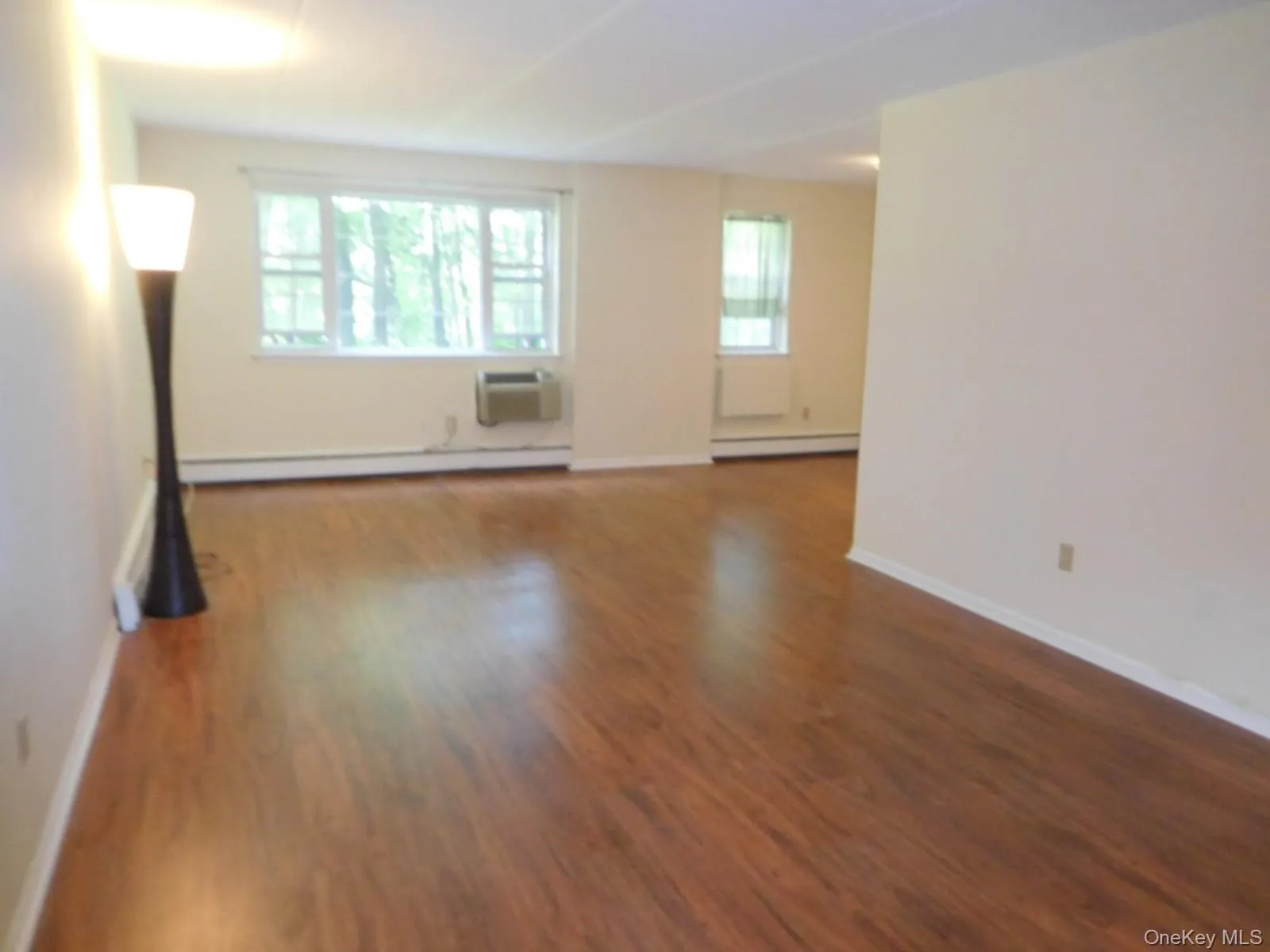 Expansive Living Room Expansive Living Room