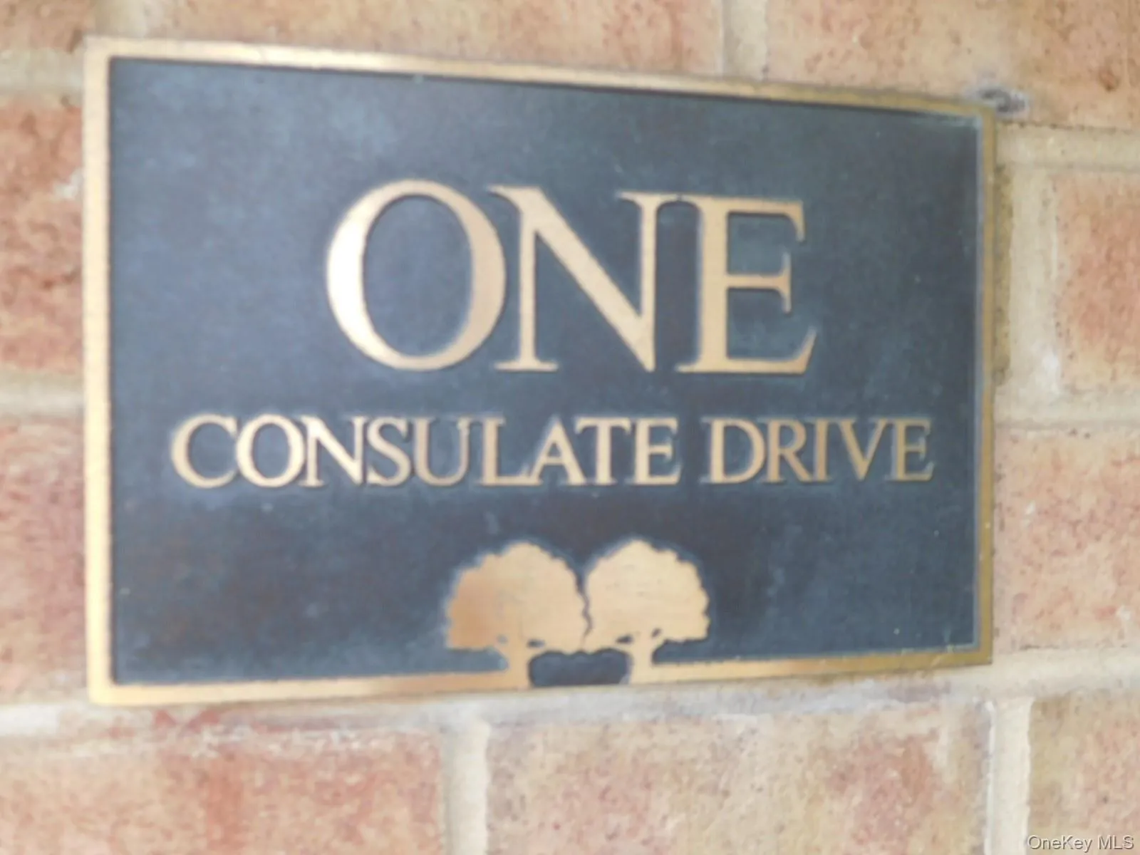 1 Consulate Drive, Eastchester, NY, 1 Bedroom Bedrooms, 4 Rooms Rooms,1 BathroomBathrooms,Residential Lease,For Rent,Consulate,0,1058018 1 Consulate Drive, Eastchester, NY, 1 Bedroom Bedrooms, 4 Rooms Rooms,1 BathroomBathrooms,Residential Lease,For Rent,Consulate,0,1058018