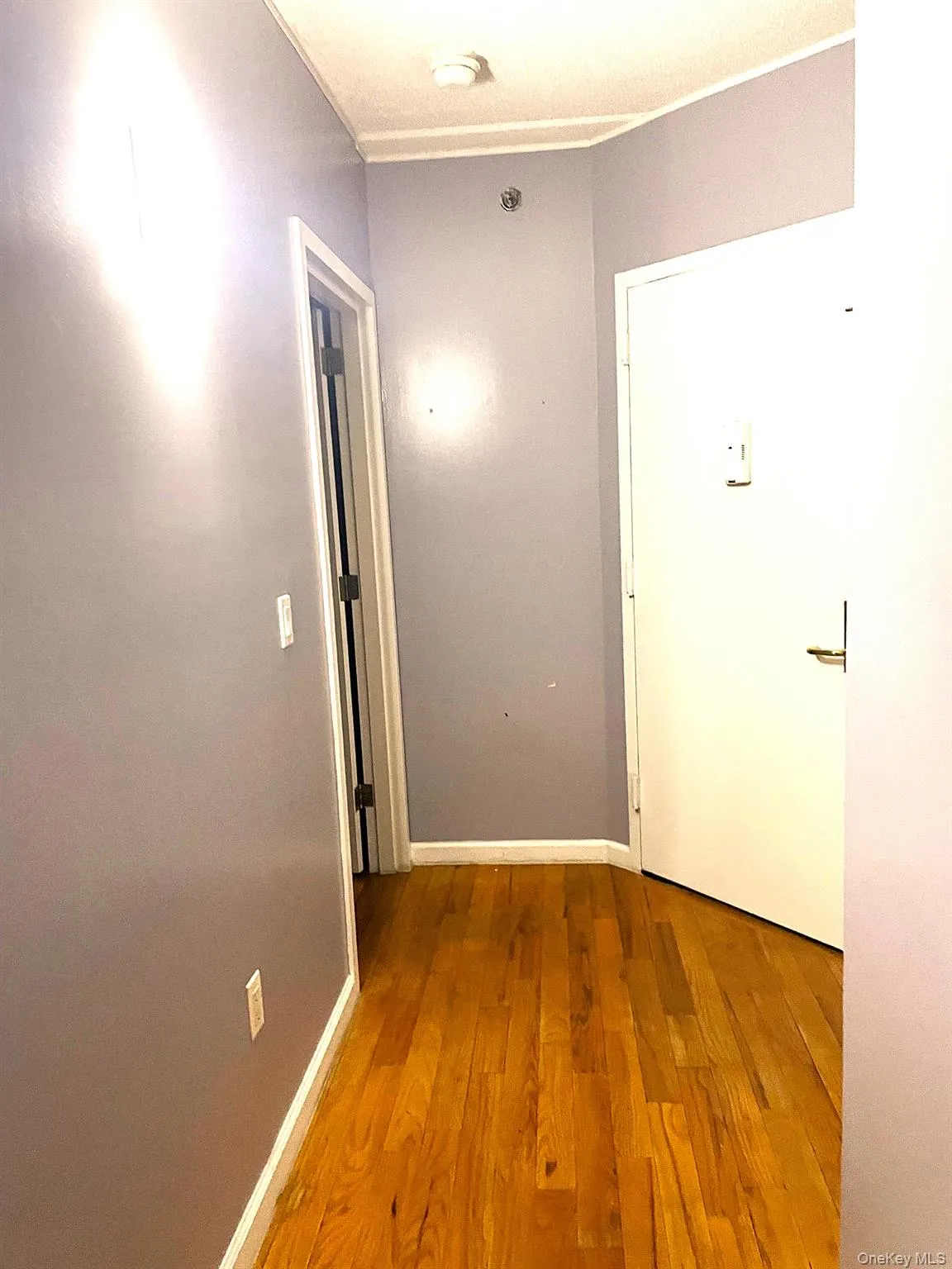 88-20 Parsons Boulevard, New York, NY, 2 Bedrooms Bedrooms, 6 Rooms Rooms,2 BathroomsBathrooms,Residential,For Rent,Parsons,0,1058044 88-20 Parsons Boulevard, New York, NY, 2 Bedrooms Bedrooms, 6 Rooms Rooms,2 BathroomsBathrooms,Residential,For Rent,Parsons,0,1058044