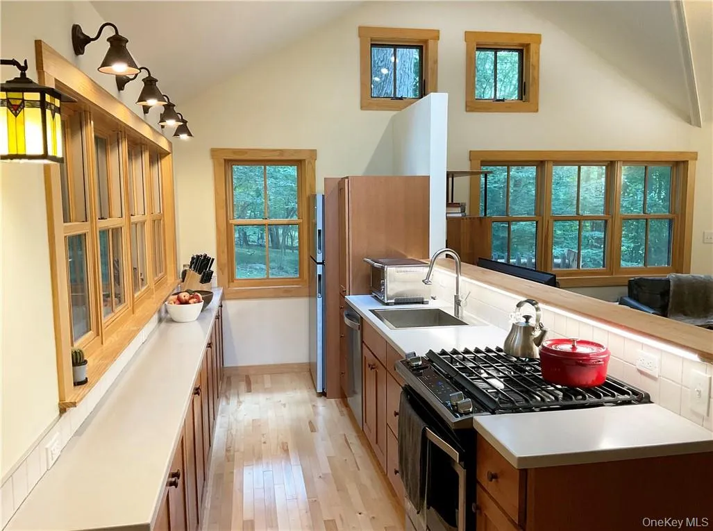 Lots of natural light with a gas stove/oven, dishwasher, & refrigerator Lots of natural light with a gas stove/oven, dishwasher, & refrigerator