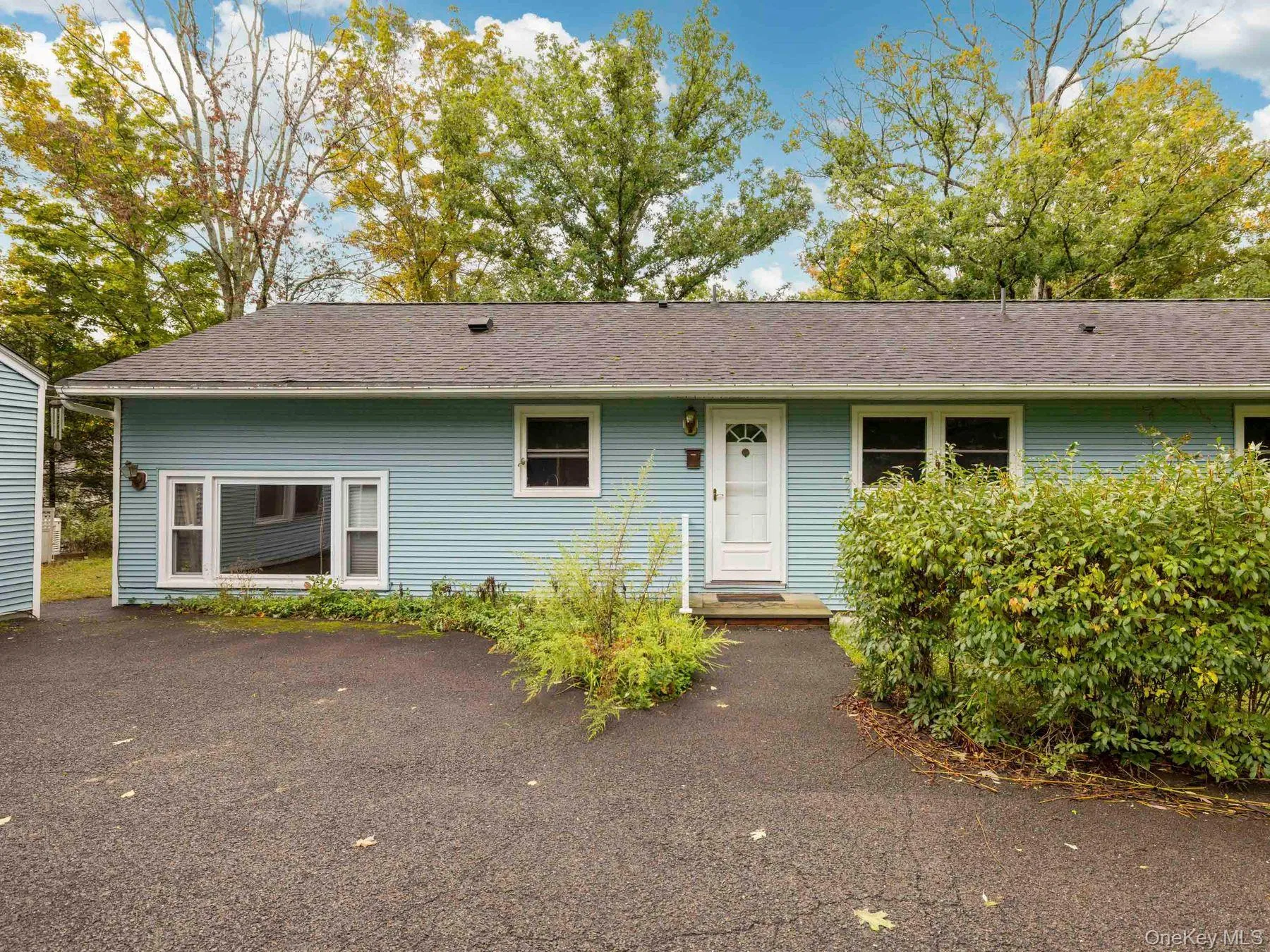 5 Van De Bogart Road, Woodstock, NY, 3 Bedrooms Bedrooms, 6 Rooms Rooms,1 BathroomBathrooms,Residential,For Rent,Van De Bogart,0,1058111 5 Van De Bogart Road, Woodstock, NY, 3 Bedrooms Bedrooms, 6 Rooms Rooms,1 BathroomBathrooms,Residential,For Rent,Van De Bogart,0,1058111