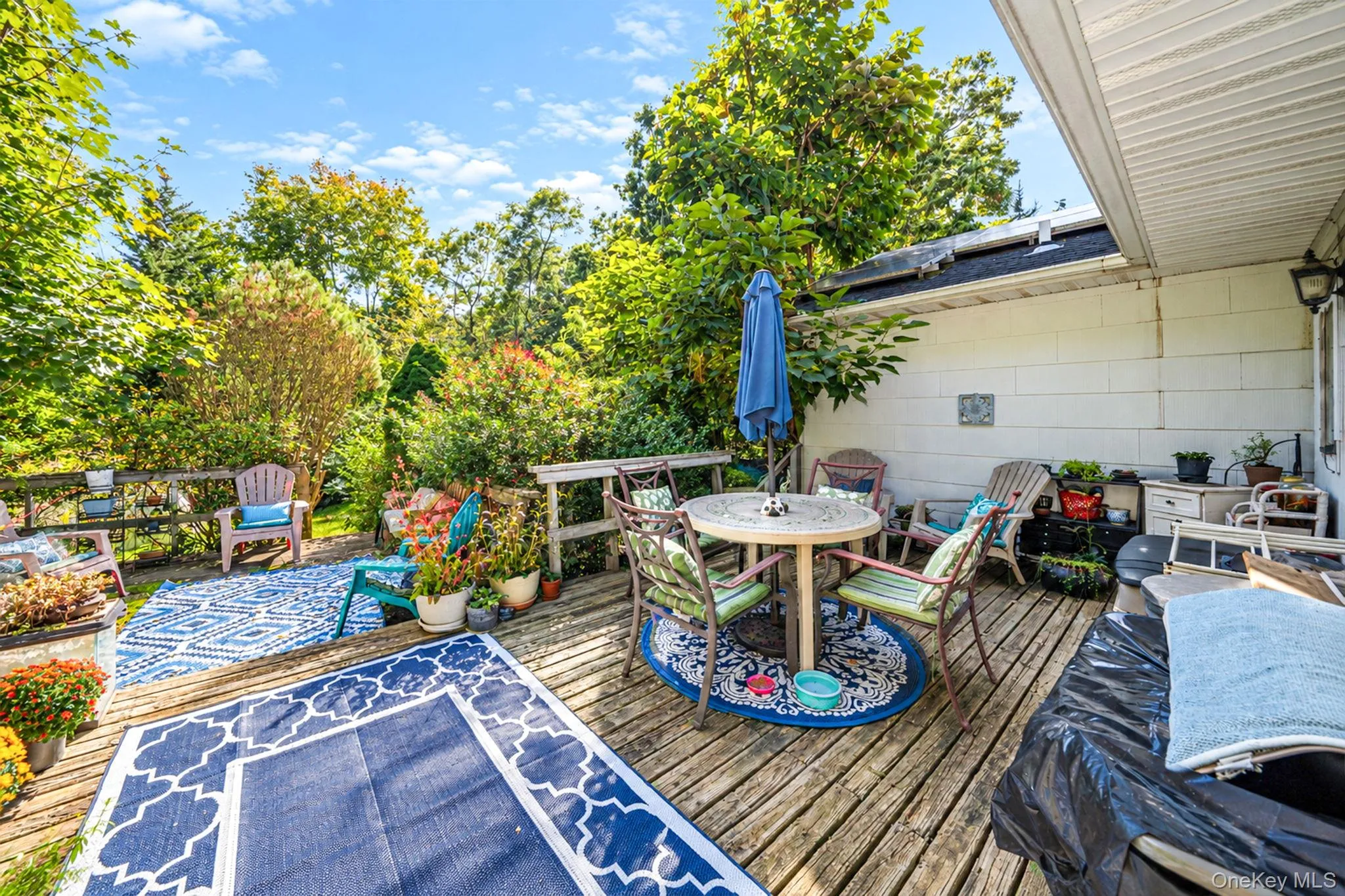 306 Jamaica Avenue, Brookhaven, NY, 3 Bedrooms Bedrooms, 6 Rooms Rooms,2 BathroomsBathrooms,Residential,For Rent,Jamaica,0,1058119 306 Jamaica Avenue, Brookhaven, NY, 3 Bedrooms Bedrooms, 6 Rooms Rooms,2 BathroomsBathrooms,Residential,For Rent,Jamaica,0,1058119