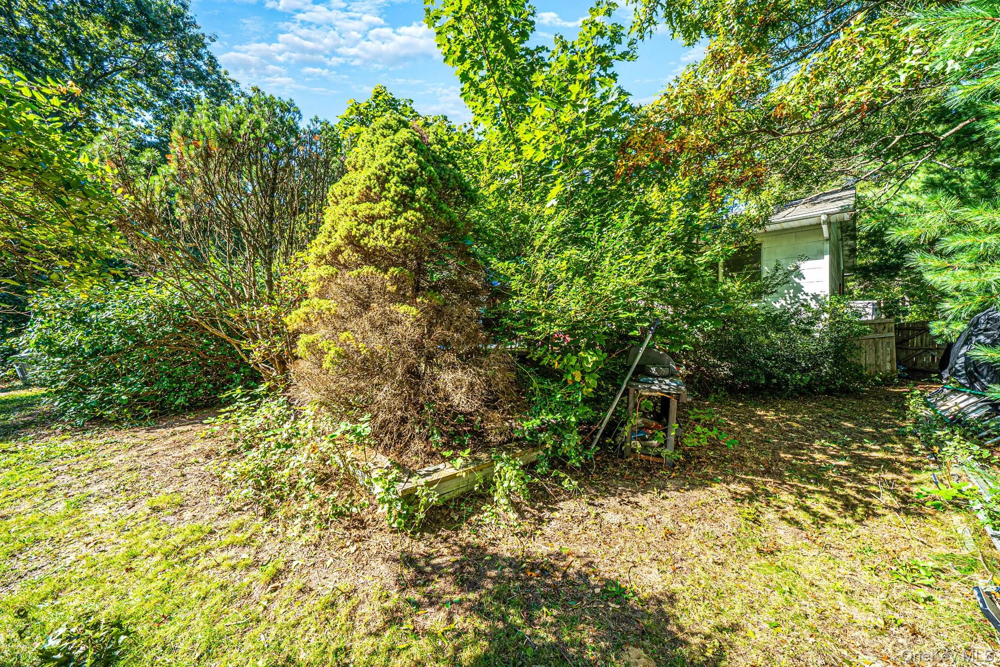 306 Jamaica Avenue, Brookhaven, NY, 3 Bedrooms Bedrooms, 6 Rooms Rooms,2 BathroomsBathrooms,Residential,For Rent,Jamaica,0,1058119 306 Jamaica Avenue, Brookhaven, NY, 3 Bedrooms Bedrooms, 6 Rooms Rooms,2 BathroomsBathrooms,Residential,For Rent,Jamaica,0,1058119