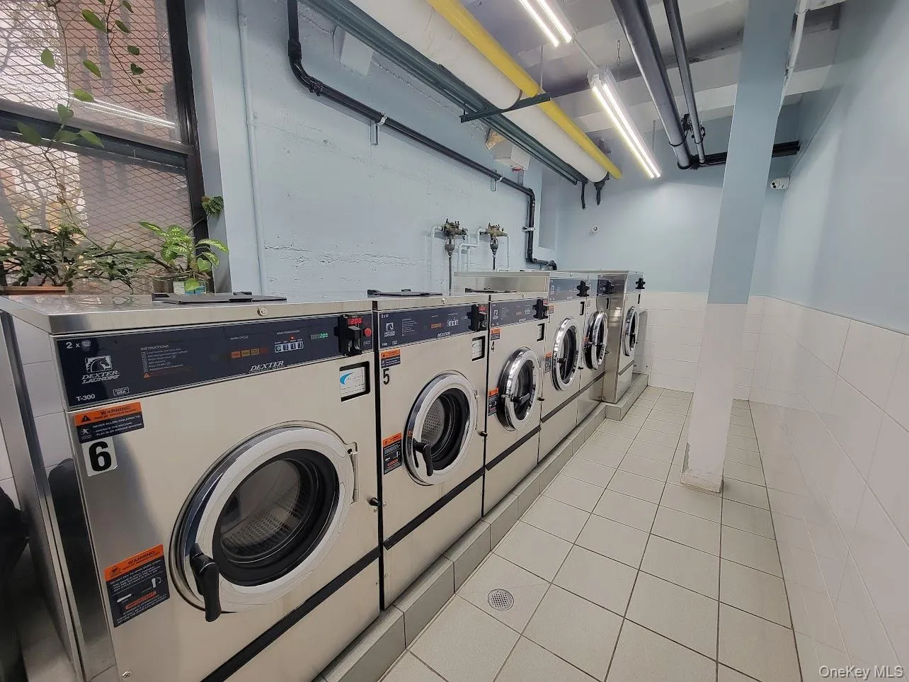 65-15 38th Avenue, New York, NY, 1 Bedroom Bedrooms, 3 Rooms Rooms,1 BathroomBathrooms,Residential,For Rent,38th,0,1058205 65-15 38th Avenue, New York, NY, 1 Bedroom Bedrooms, 3 Rooms Rooms,1 BathroomBathrooms,Residential,For Rent,38th,0,1058205