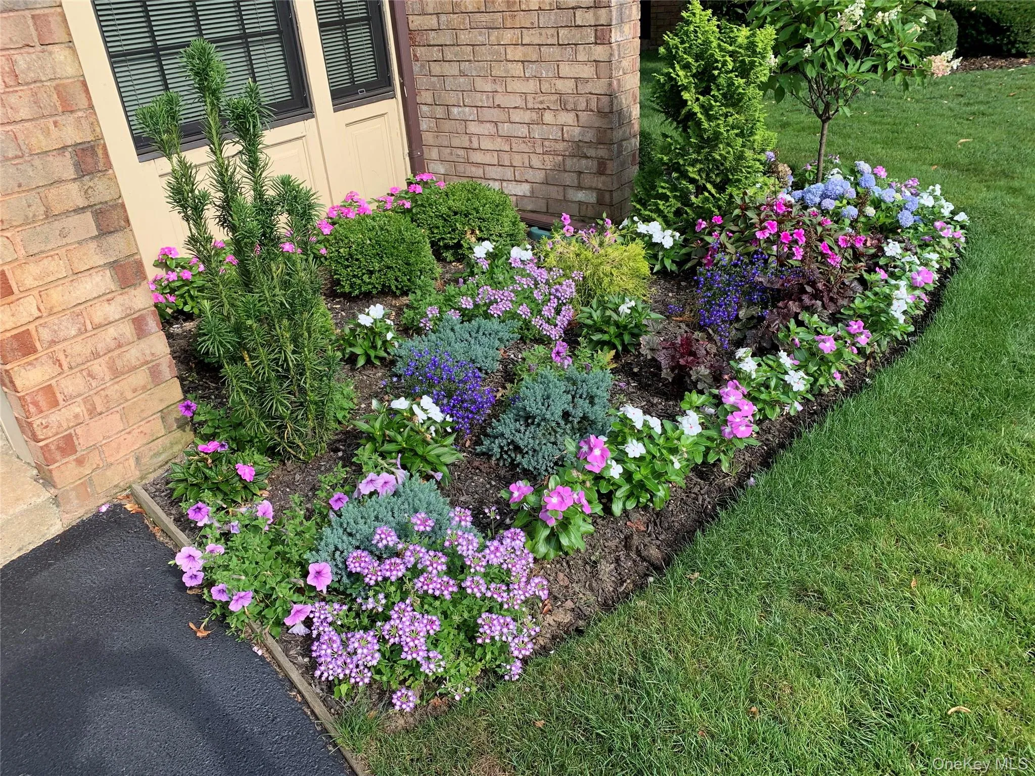 Beautiful Front Bay Flower Garden! Beautiful Front Bay Flower Garden!