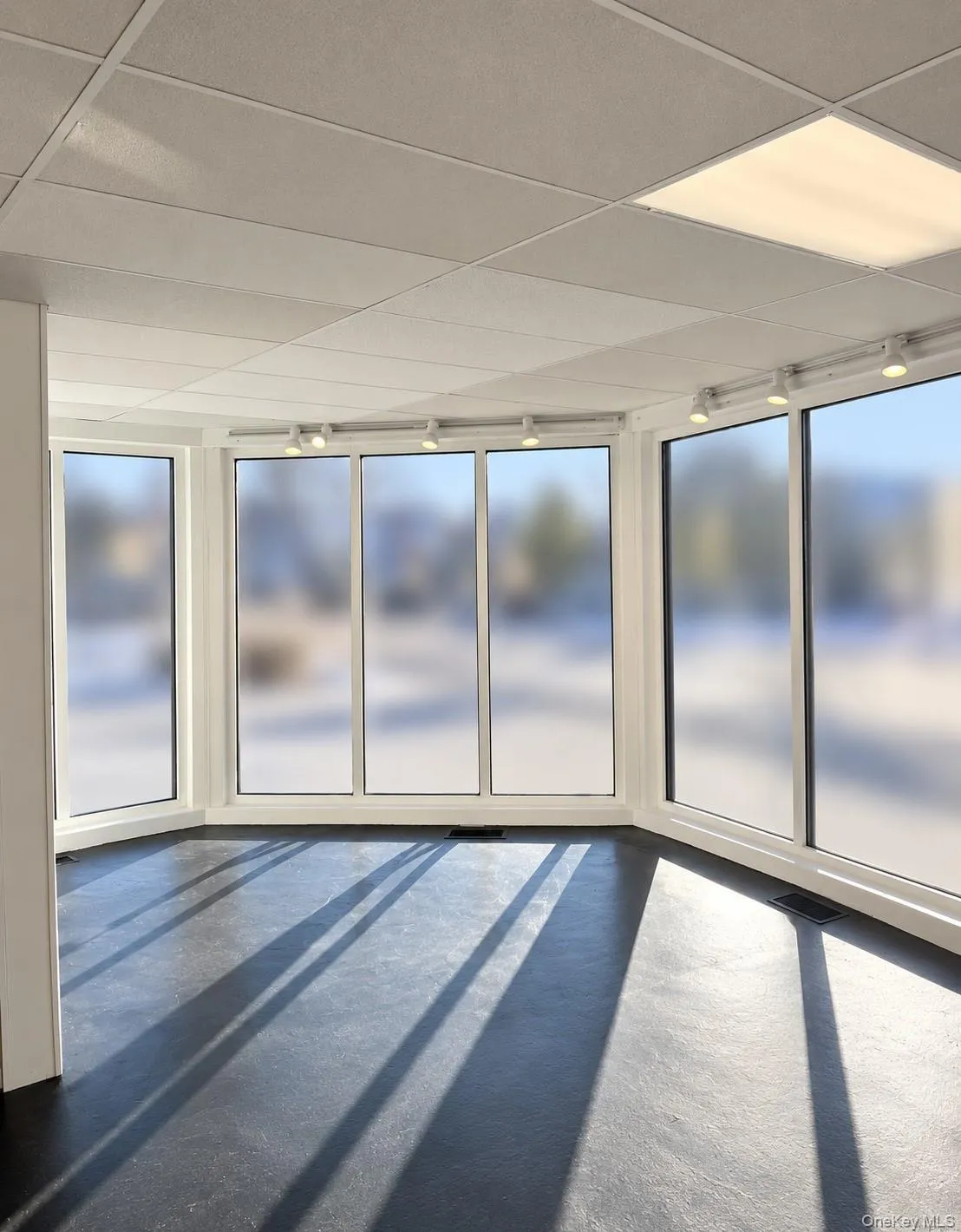 Plenty of open space and natural sunlight. Plenty of open space and natural sunlight.