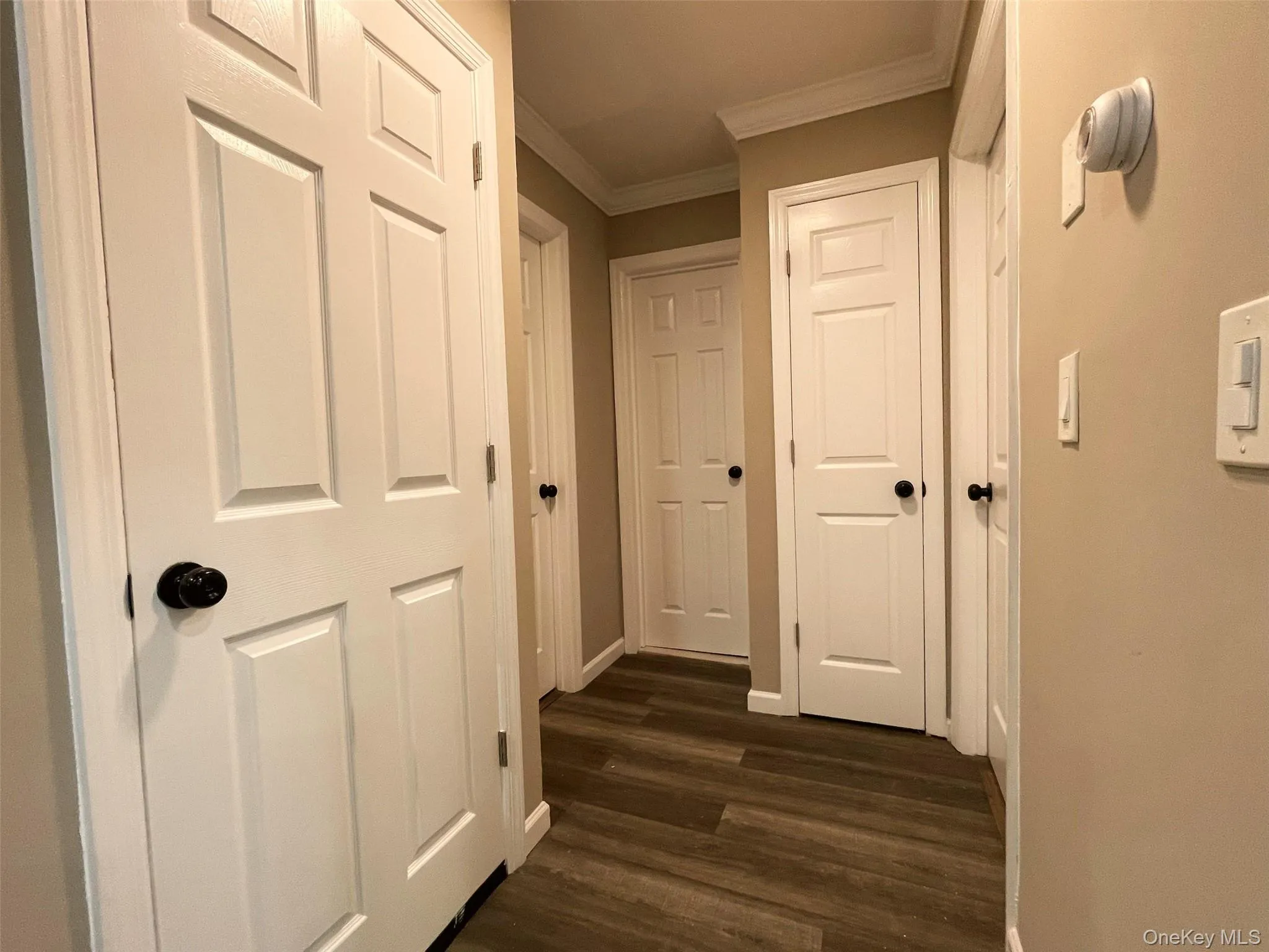 45A Brushwood Drive, Brookhaven, NY, 6 Bedrooms Bedrooms, 10 Rooms Rooms,2 BathroomsBathrooms,Residential,For Rent,Brushwood,0,1058269 45A Brushwood Drive, Brookhaven, NY, 6 Bedrooms Bedrooms, 10 Rooms Rooms,2 BathroomsBathrooms,Residential,For Rent,Brushwood,0,1058269