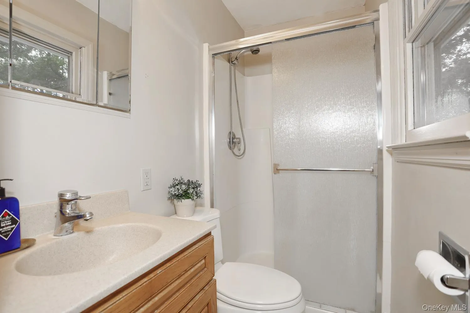 111 Smith Hill Road, Ramapo, NY, 4 Bedrooms Bedrooms, 9 Rooms Rooms,2 BathroomsBathrooms,Residential,For Rent,Smith Hill,0,1058316 111 Smith Hill Road, Ramapo, NY, 4 Bedrooms Bedrooms, 9 Rooms Rooms,2 BathroomsBathrooms,Residential,For Rent,Smith Hill,0,1058316