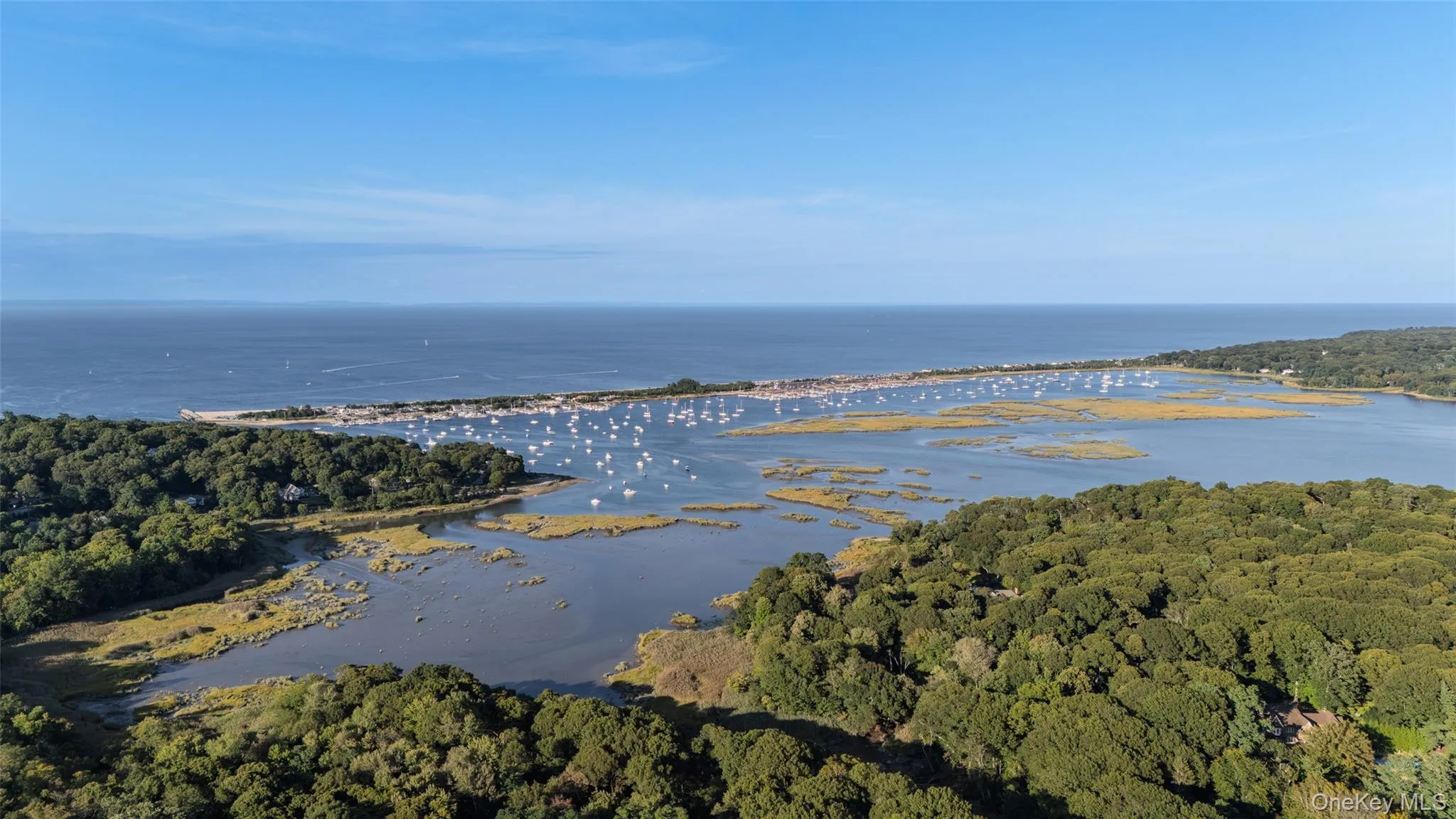 Serene setting surrounded by Coastal Woodlands Serene setting surrounded by Coastal Woodlands