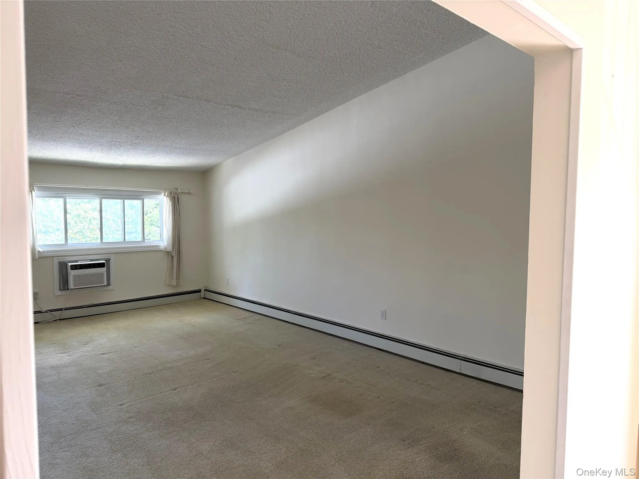 Spacious and Bright Spacious and Bright
