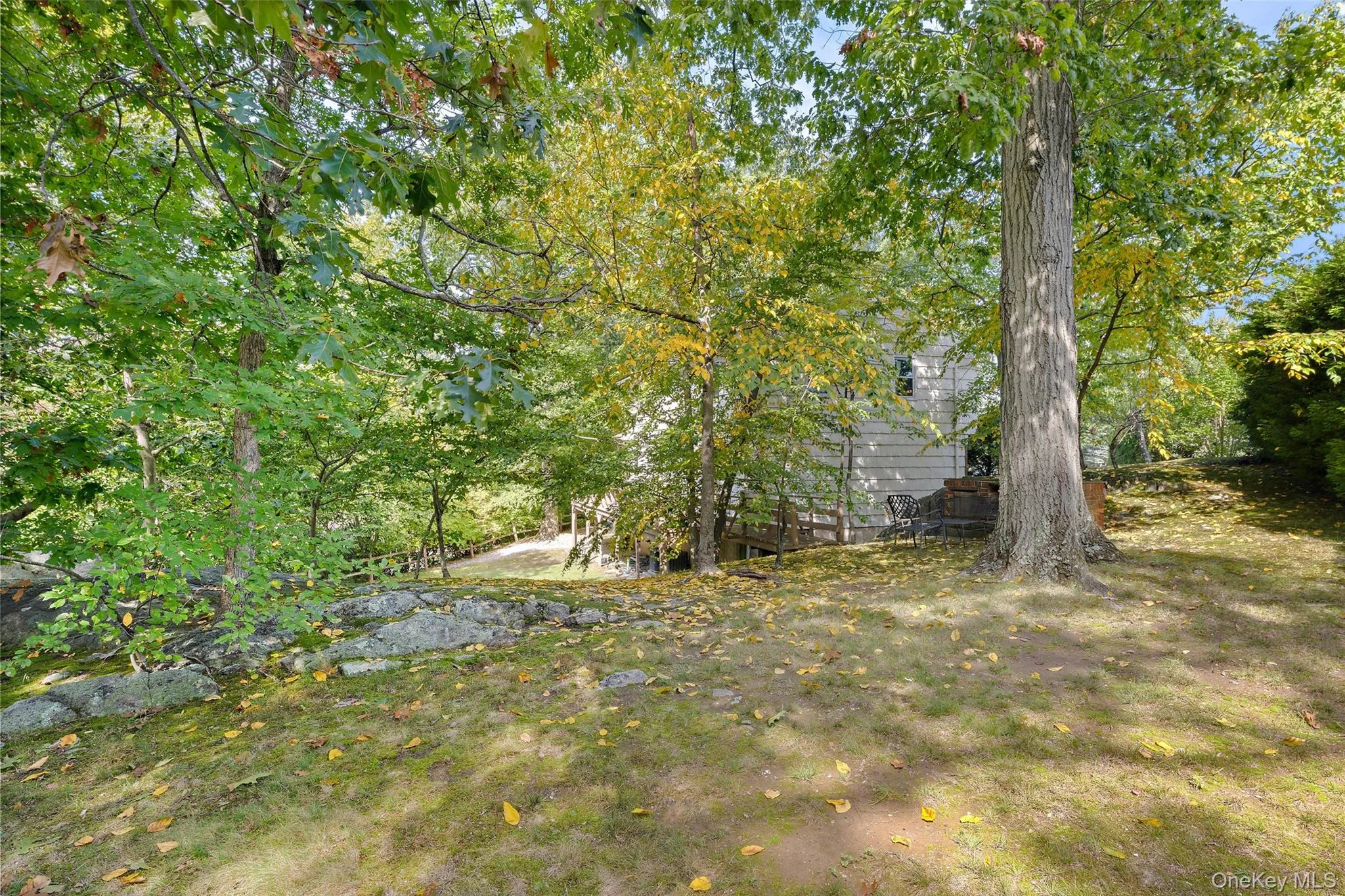 Expansive backyard. Expansive backyard.