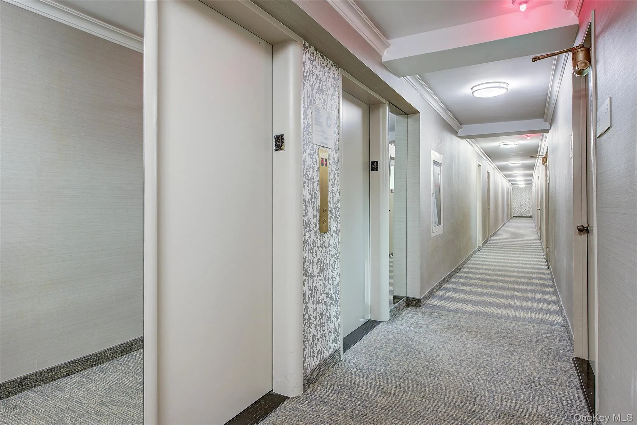 110-50 71st Road, New York, NY, 1 Bedroom Bedrooms, 3 Rooms Rooms,1 BathroomBathrooms,Residential,For Rent,71st,0,1058512 110-50 71st Road, New York, NY, 1 Bedroom Bedrooms, 3 Rooms Rooms,1 BathroomBathrooms,Residential,For Rent,71st,0,1058512