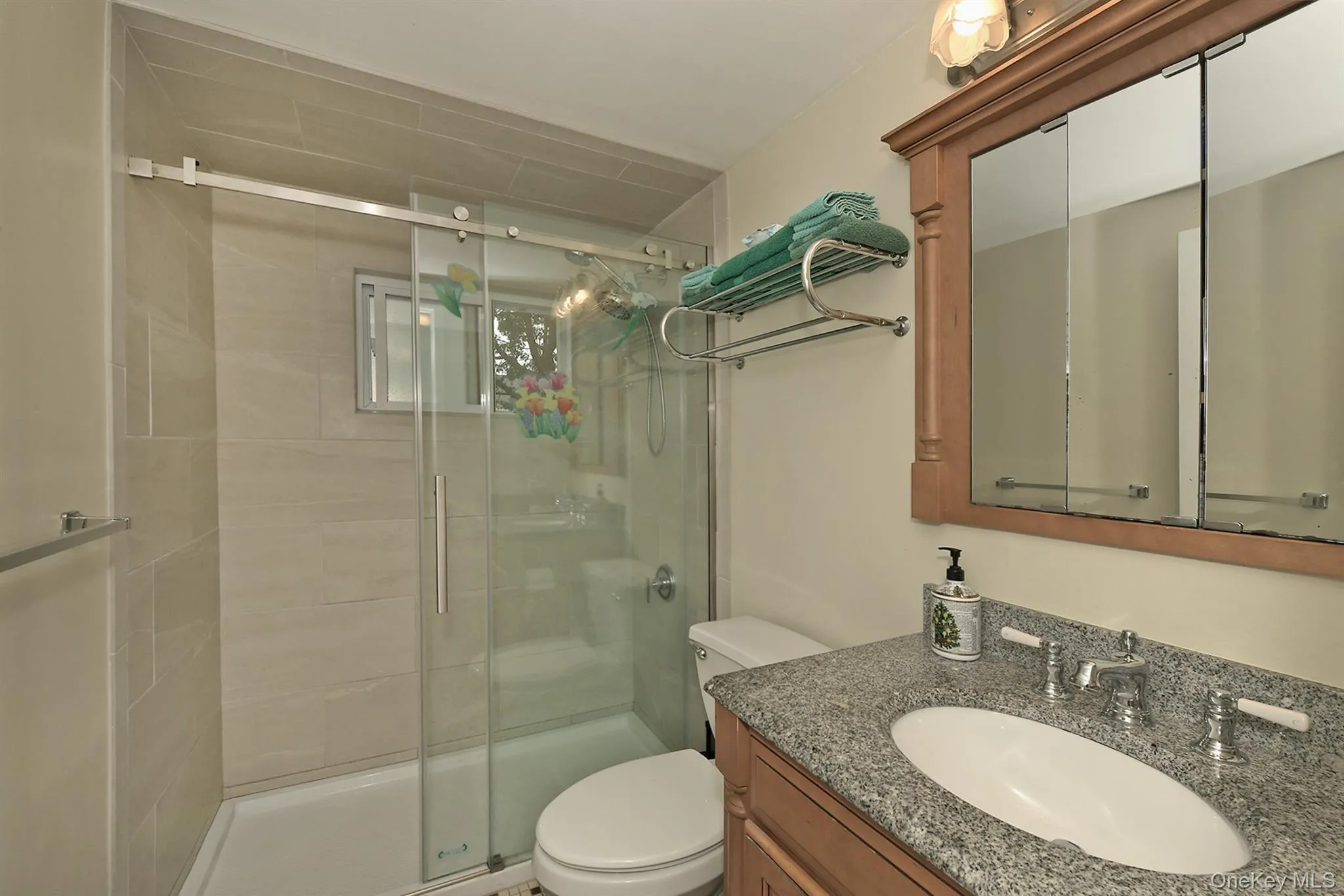 Lower Level New Bath Room (1yr) with walk in Shower+ Sliding Glass Door Lower Level New Bath Room (1yr) with walk in Shower+ Sliding Glass Door