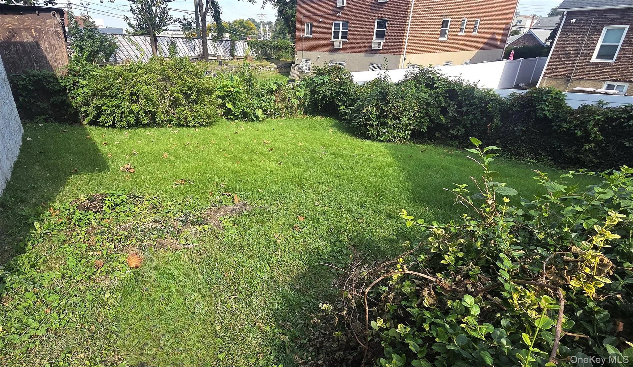 Spacious back yard Spacious back yard