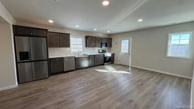 Kitchen with a healthy amount of sunlight, sink, stainless steel appliances, and light hardwood / wood-style flooring Kitchen with a healthy amount of sunlight, sink, stainless steel appliances, and light hardwood / wood-style flooring