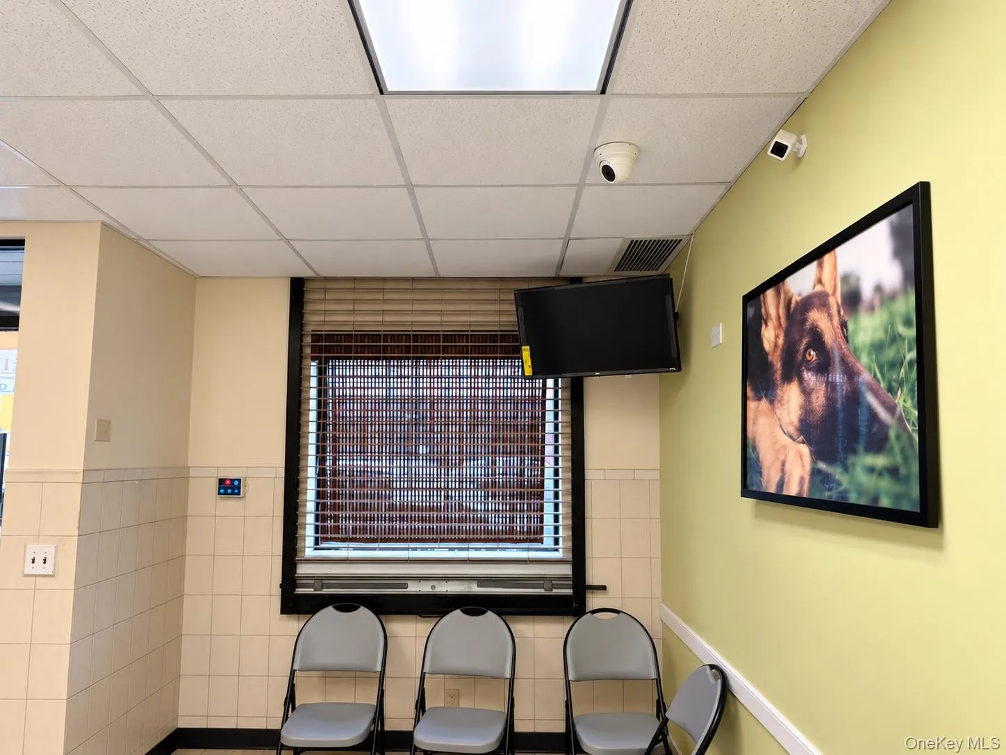 16 Mount Vernon Avenue, Mount Vernon, NY, ,Commercial Lease,For Rent,Mount Vernon,0,1058693 16 Mount Vernon Avenue, Mount Vernon, NY, ,Commercial Lease,For Rent,Mount Vernon,0,1058693