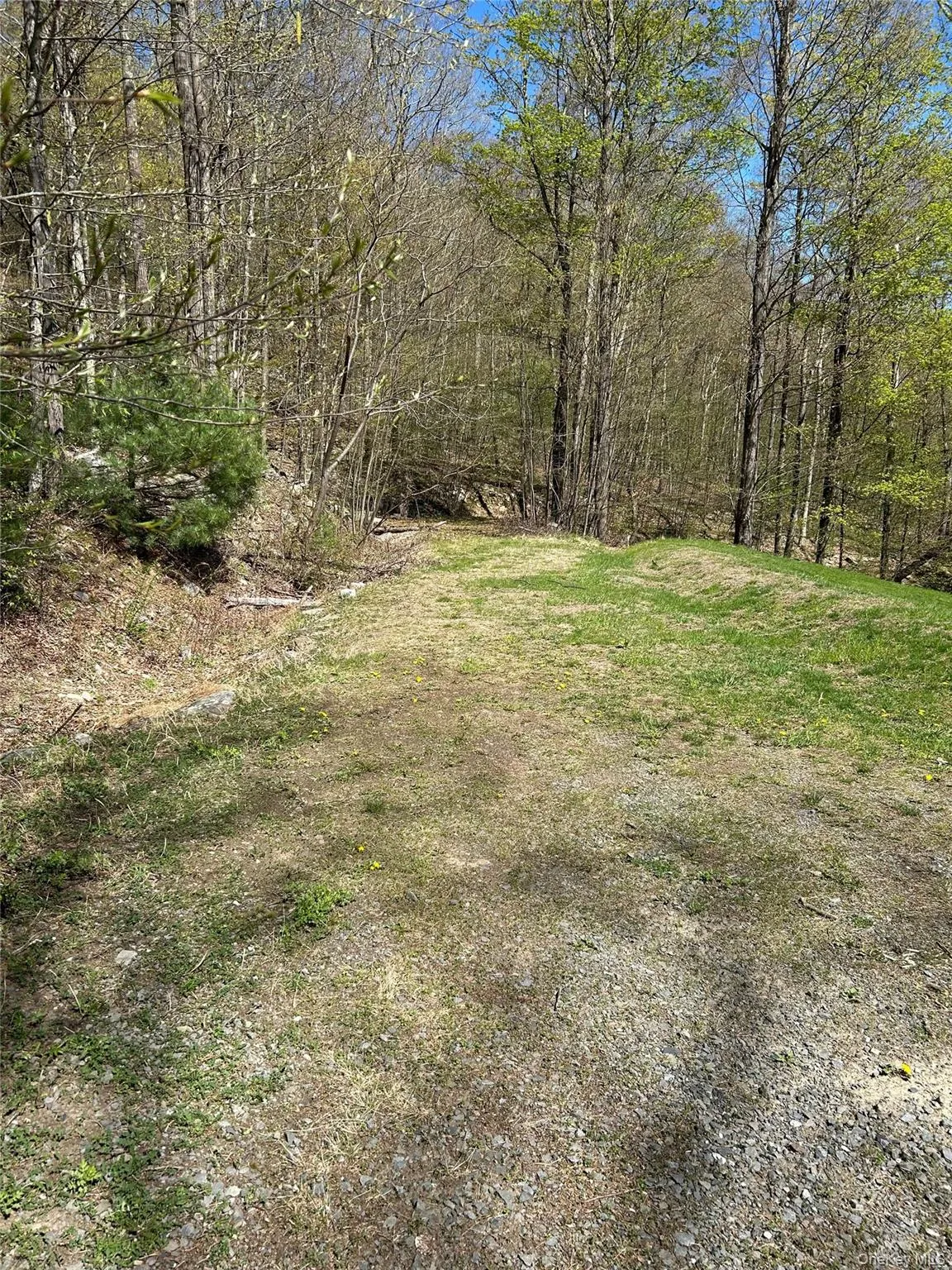 View of yard featuring a forest view View of yard featuring a forest view