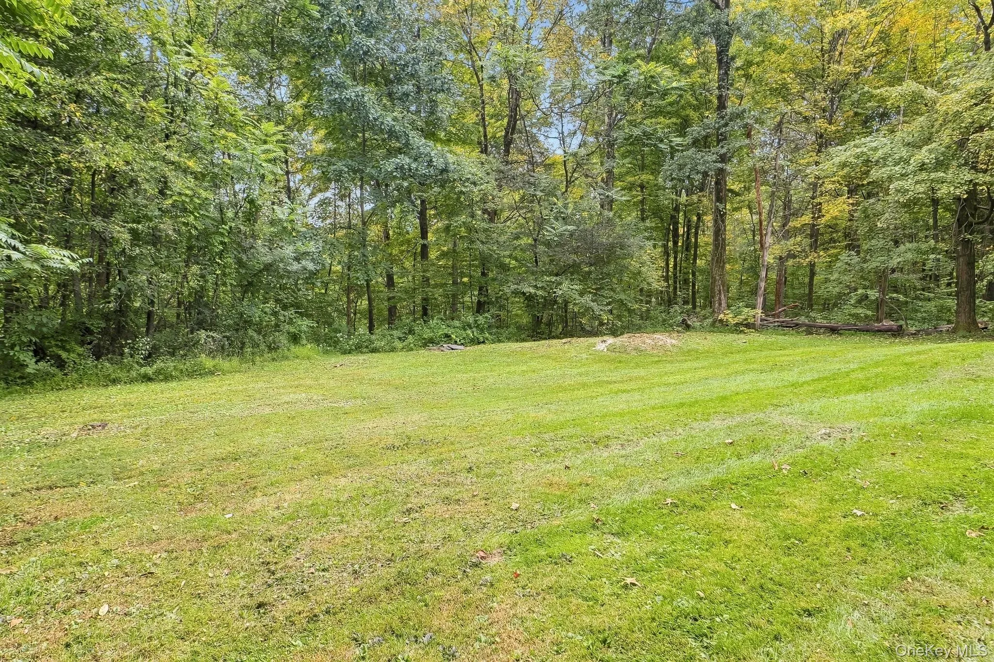 Expansive lawn area bordered by mature trees Expansive lawn area bordered by mature trees