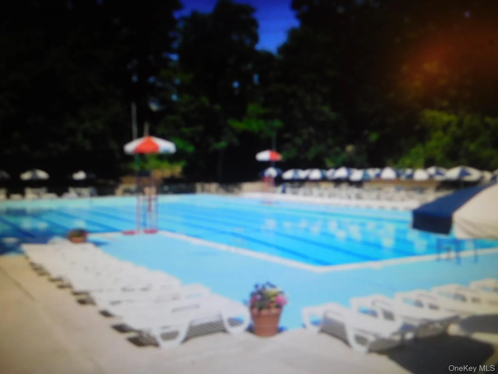 Relax all summer in the inground pool Relax all summer in the inground pool
