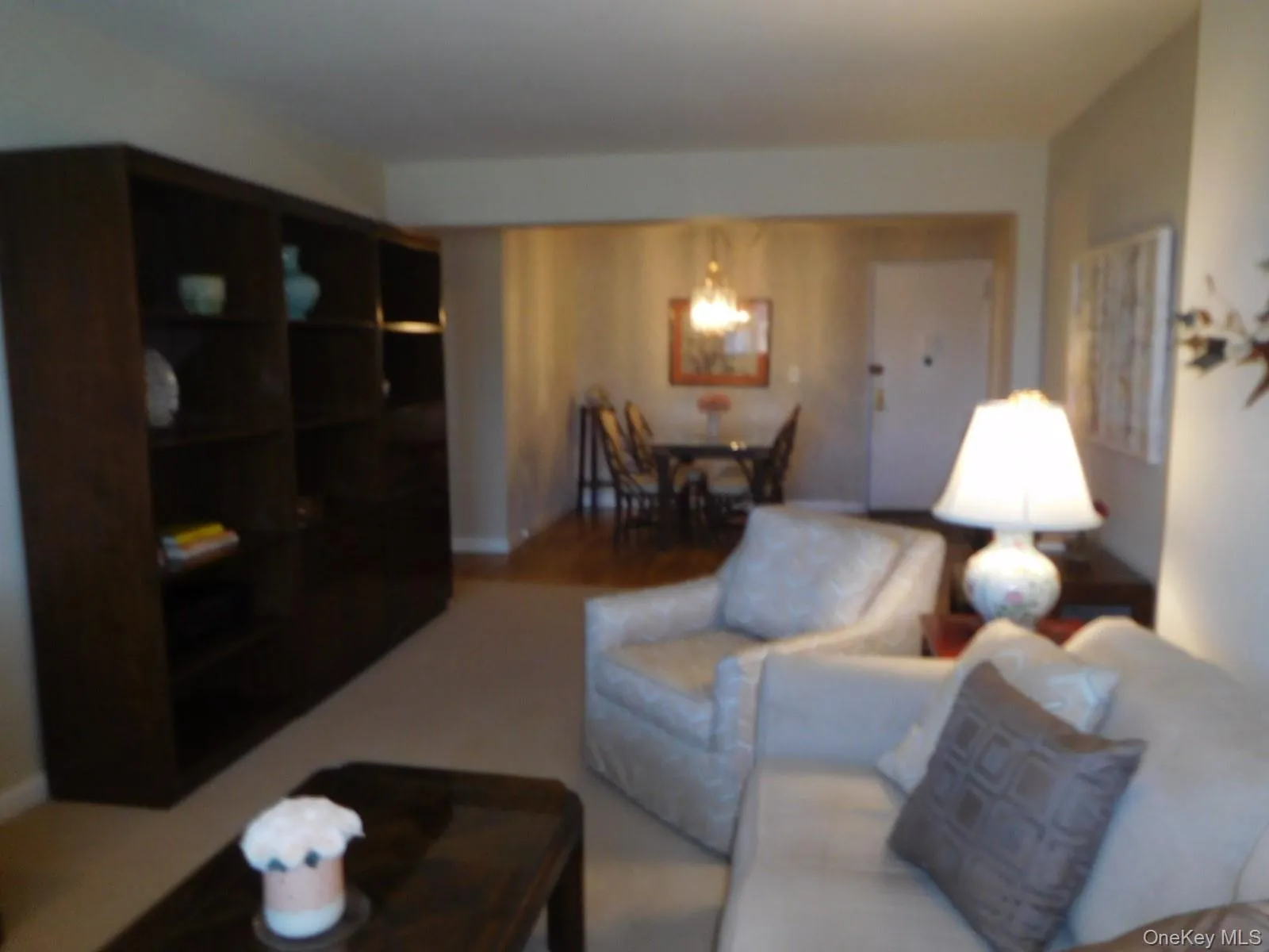 Living Room with New Carpet Living Room with New Carpet