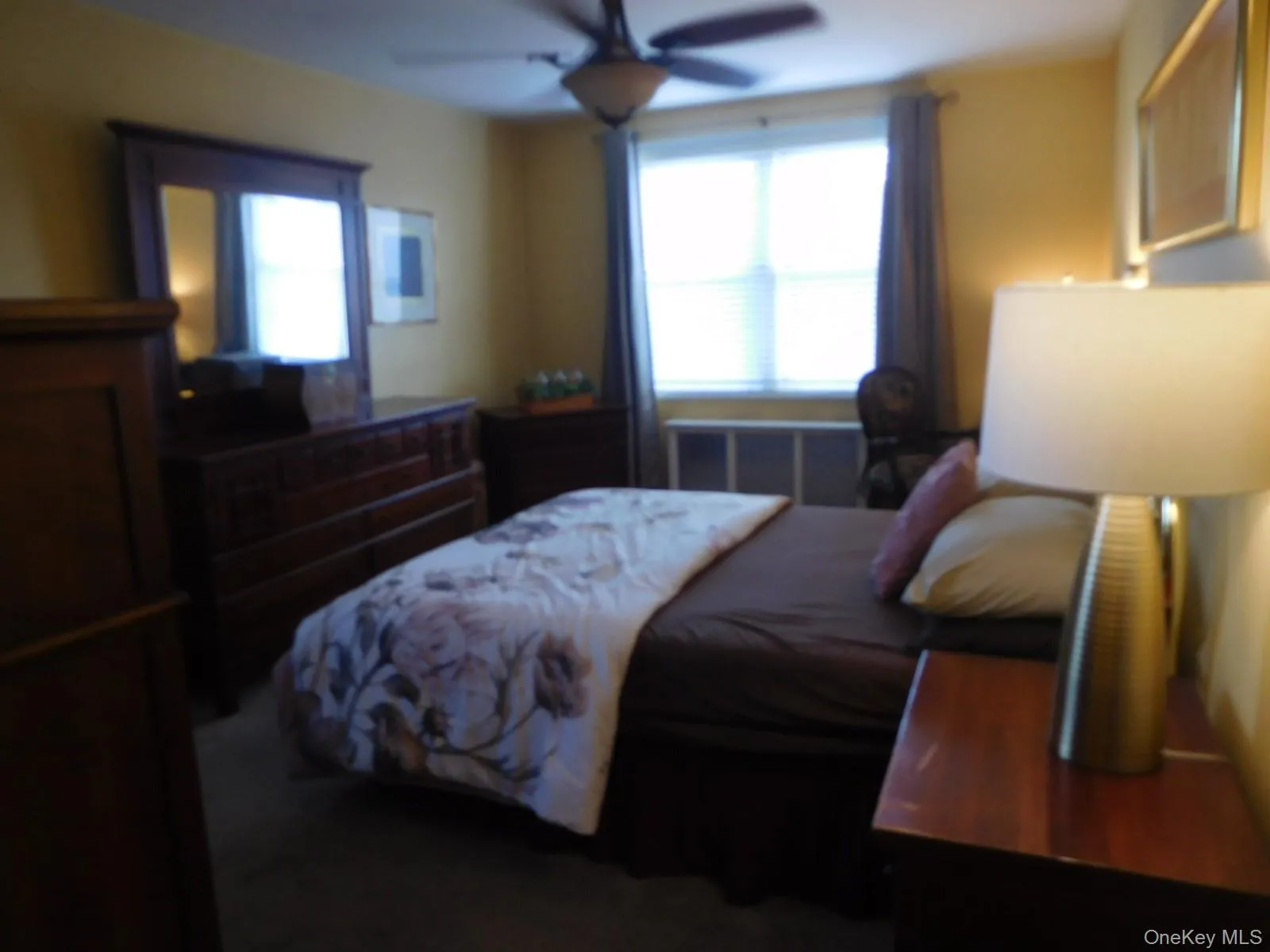 Primary Bedroom can hold Large Furniture Primary Bedroom can hold Large Furniture