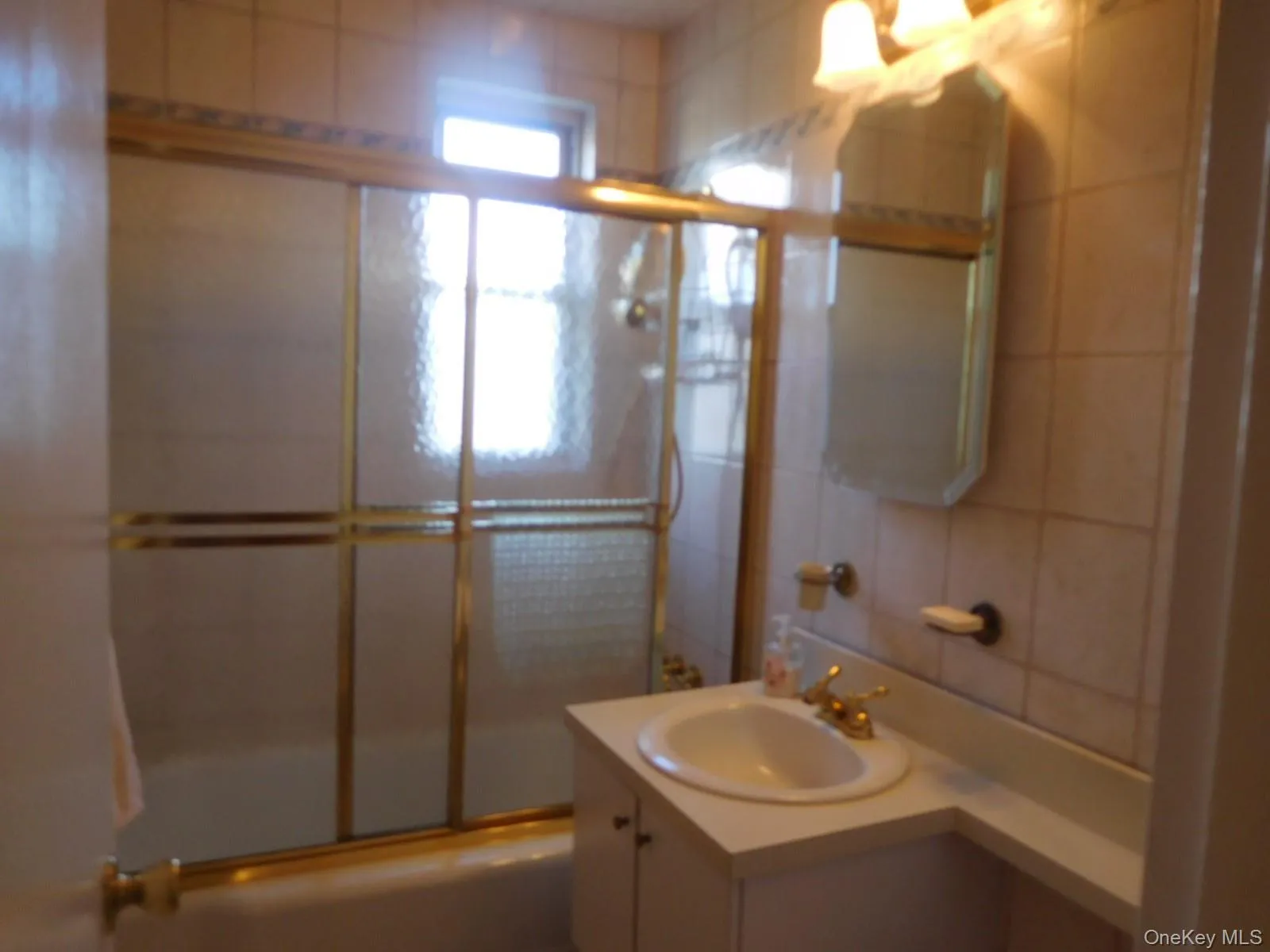 Large Updated Hall Bathroom Large Updated Hall Bathroom