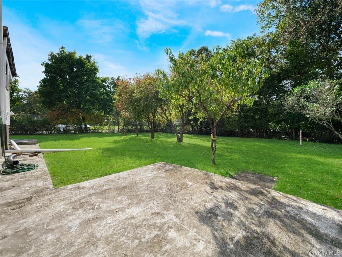 Concrete patio featuring a large level lawn and mature trees Concrete patio featuring a large level lawn and mature trees